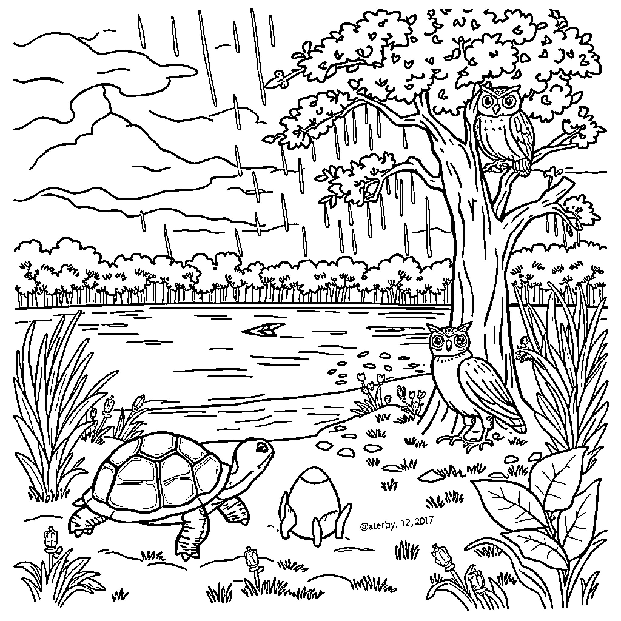 Tortoise resting by the pond in a lush forest Coloring Page (free black-and-white line drawing printable PDF for all, from beginners to advanced learners, including children, teens, adults, and seniors)