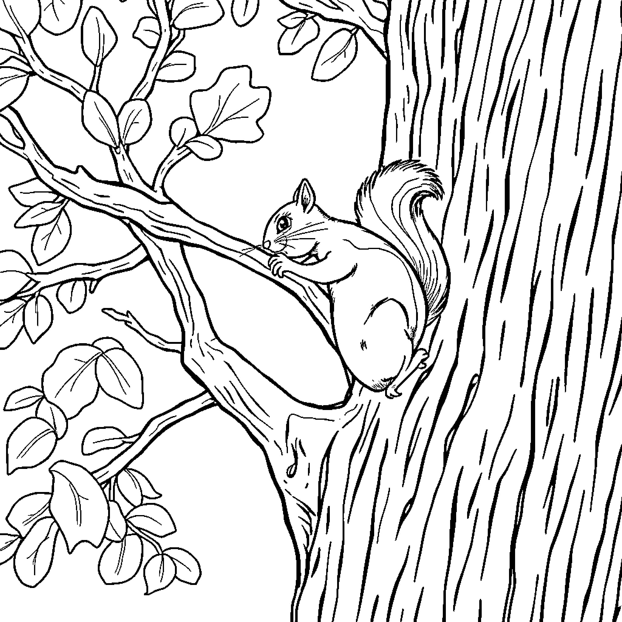 Squirrel climbing a tree in a forest Coloring Page (free black-and-white line drawing printable PDF for all, from beginners to advanced learners, including children, teens, adults, and seniors)