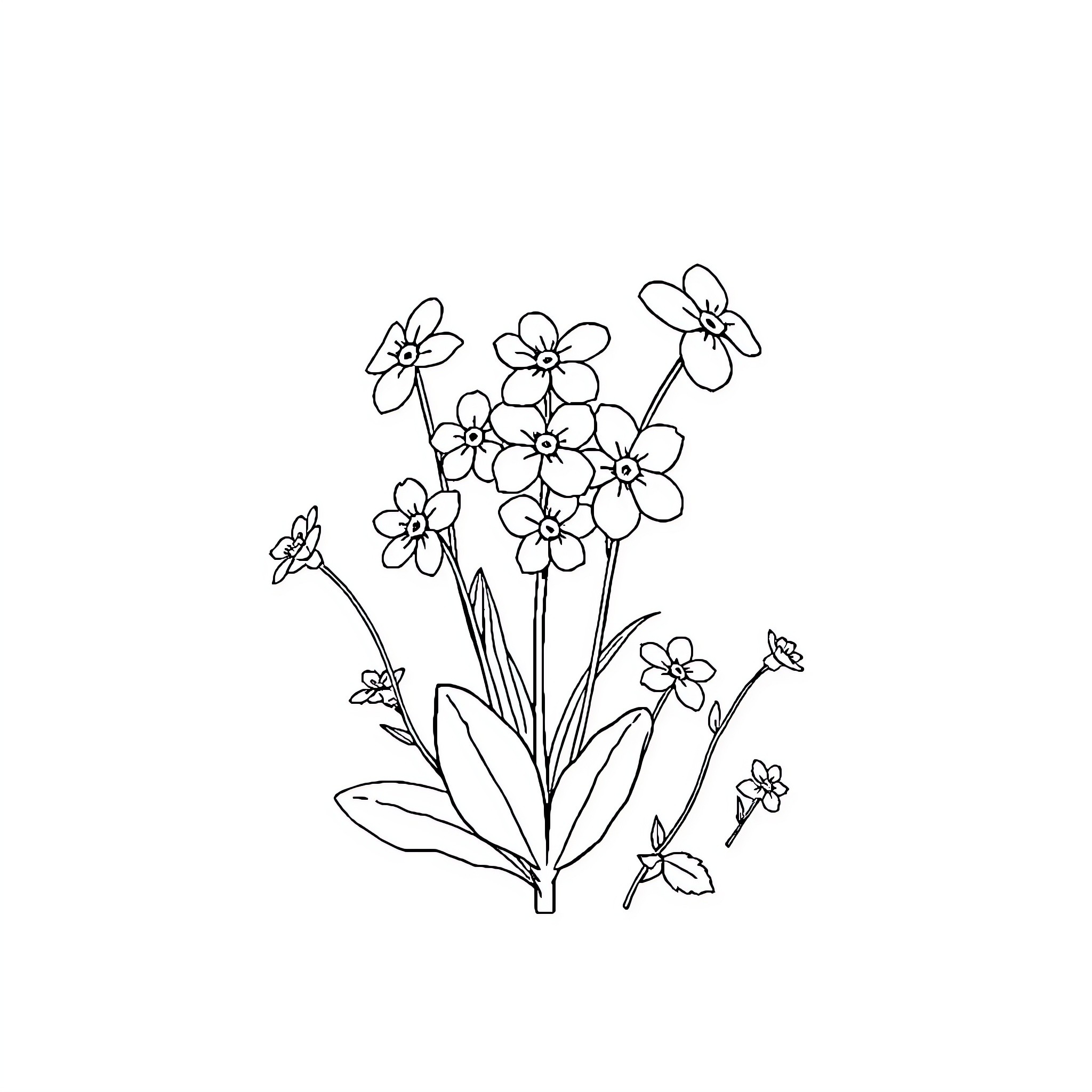 Forget-Me-Not Floral Bouquet Coloring Page (free black-and-white line drawing printable PDF for all, from beginners to advanced learners, including children, teens, adults, and seniors)