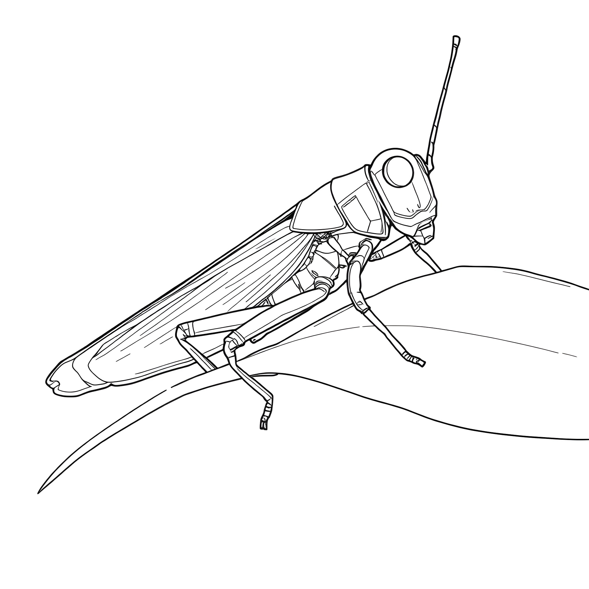 Grasshopper leaping across the page Coloring Page (free black-and-white line drawing printable PDF for all, from beginners to advanced learners, including children, teens, adults, and seniors)