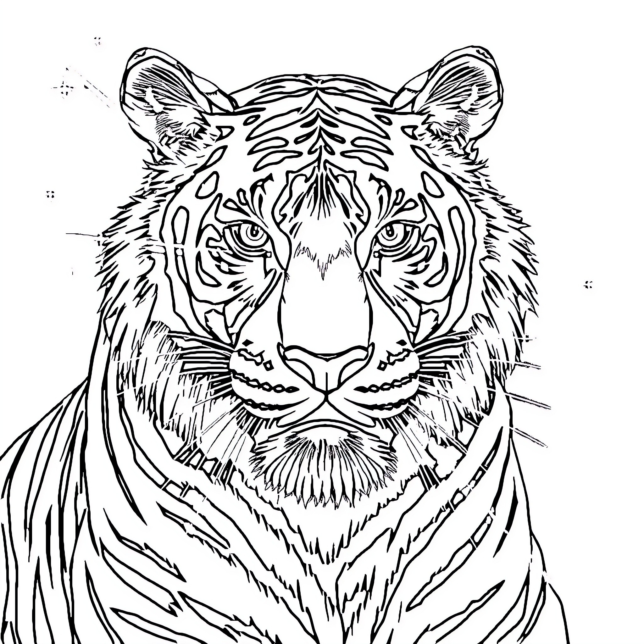 Tiger with Intense Gaze and Detailed Fur Coloring Page (free black-and-white line drawing printable PDF for all, from beginners to advanced learners, including children, teens, adults, and seniors)