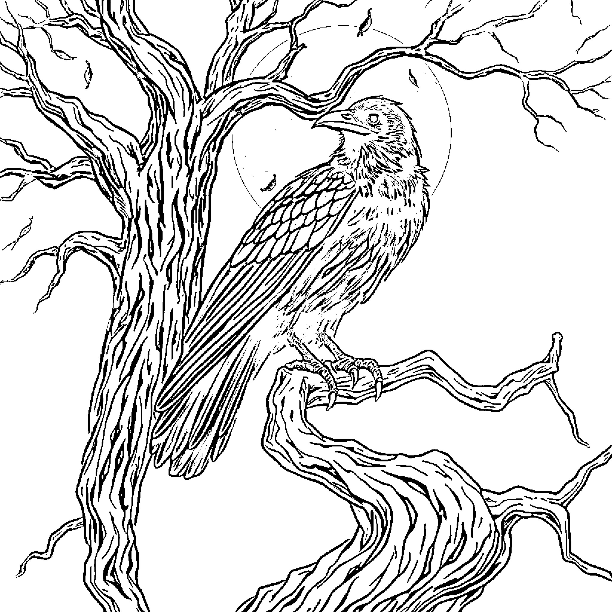 Raven perched on a twisted, gnarled tree Coloring Page (free black-and-white line drawing printable PDF for all, from beginners to advanced learners, including children, teens, adults, and seniors)
