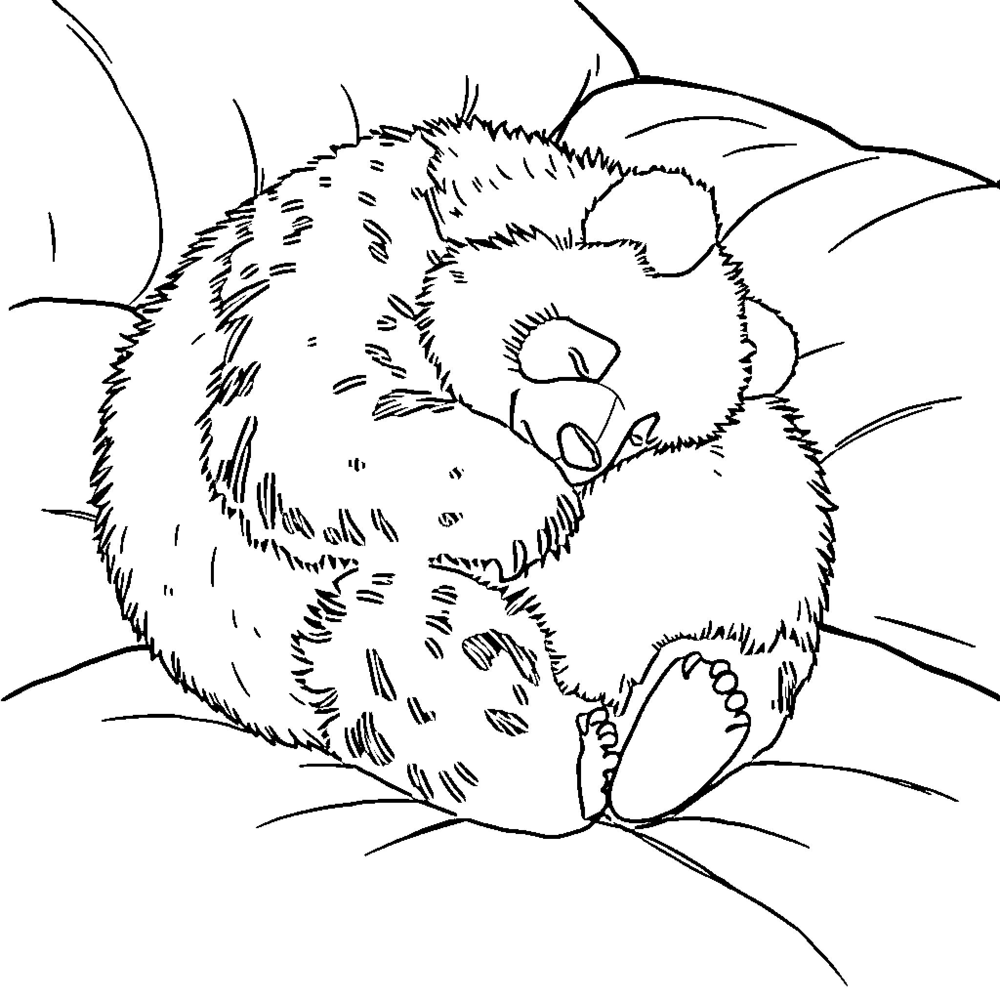 Panda resting comfortably in its den Coloring Page (free black-and-white line drawing printable PDF for all, from beginners to advanced learners, including children, teens, adults, and seniors)