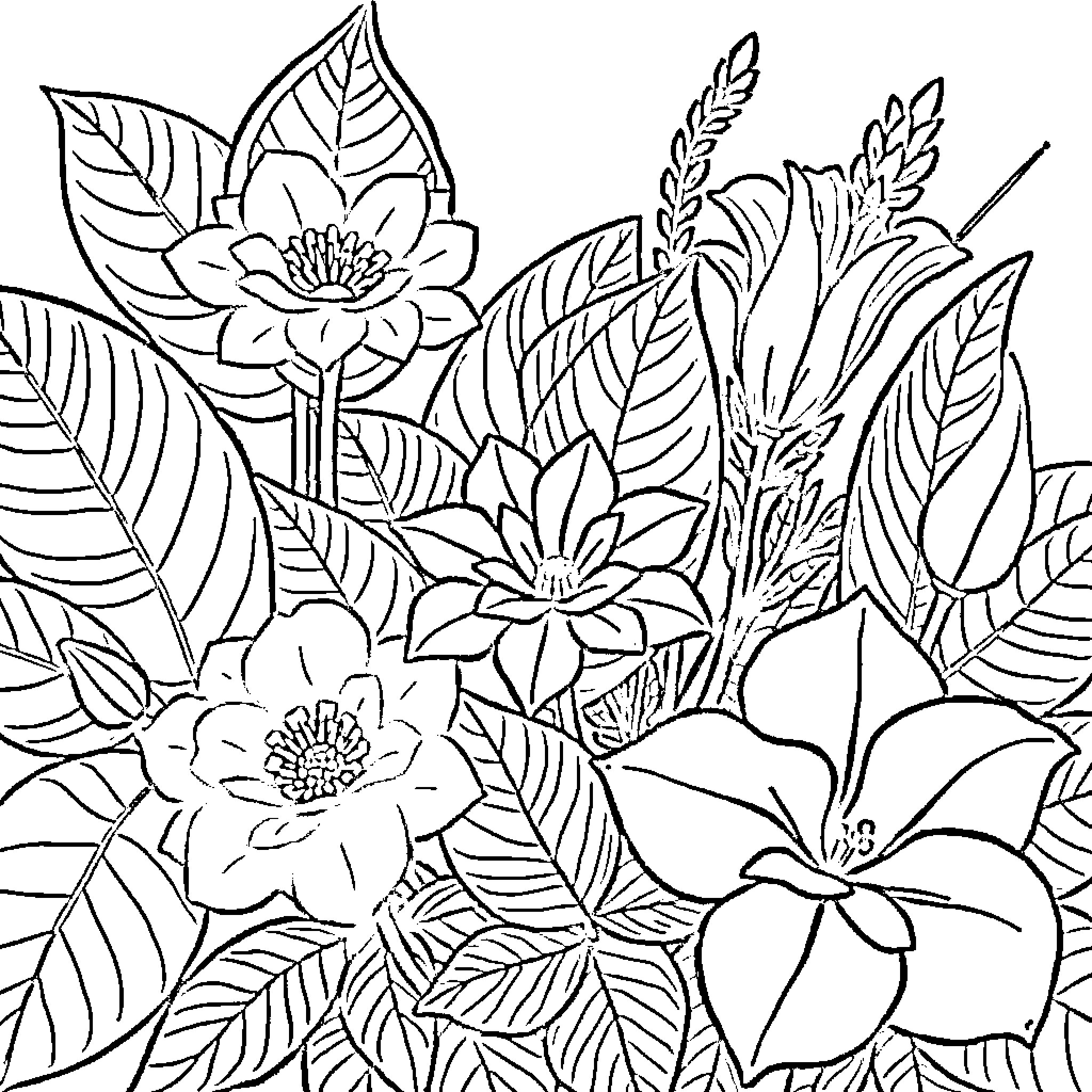 Plant floral arrangement with blooming flowers Coloring Page (free black-and-white line drawing printable PDF for all, from beginners to advanced learners, including children, teens, adults, and seniors)