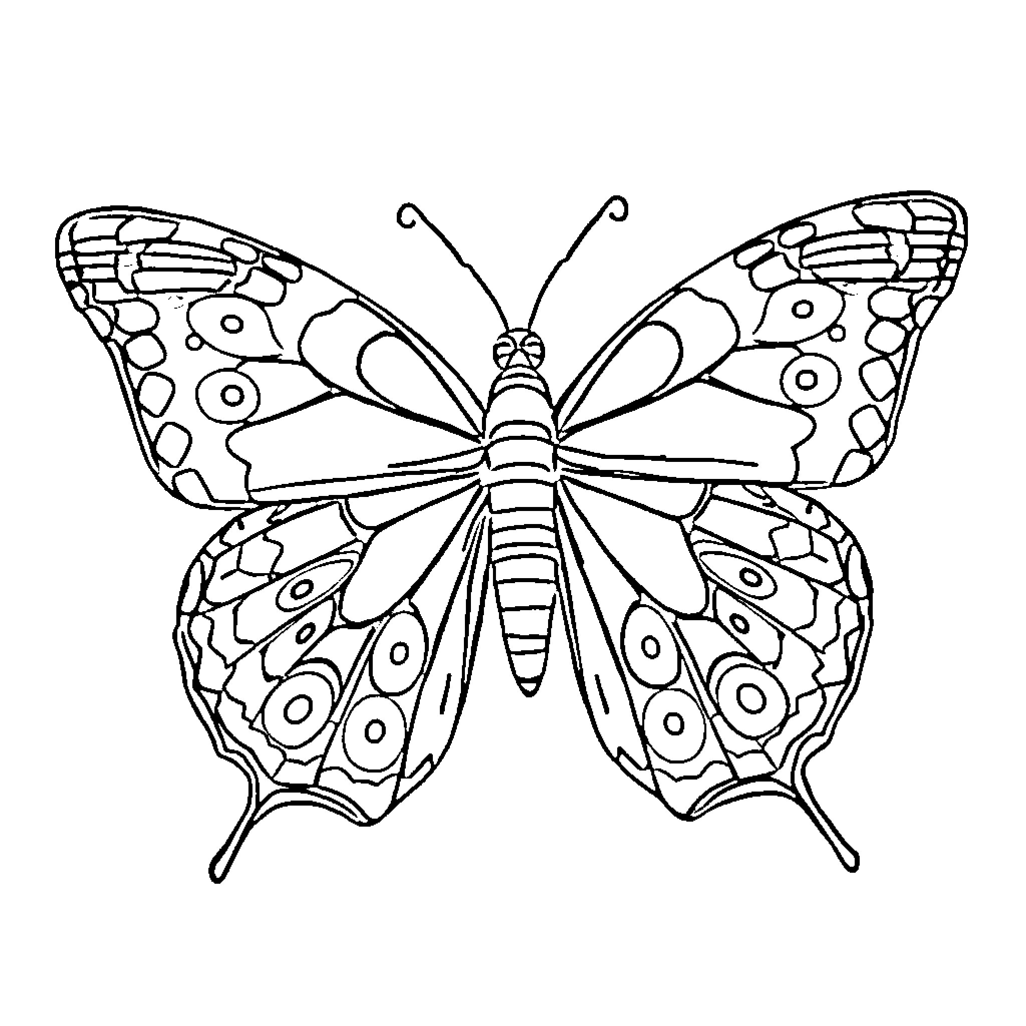 Tiger Butterfly with Intricate Wing Patterns Coloring Page (free black-and-white line drawing printable PDF for all, from beginners to advanced learners, including children, teens, adults, and seniors)