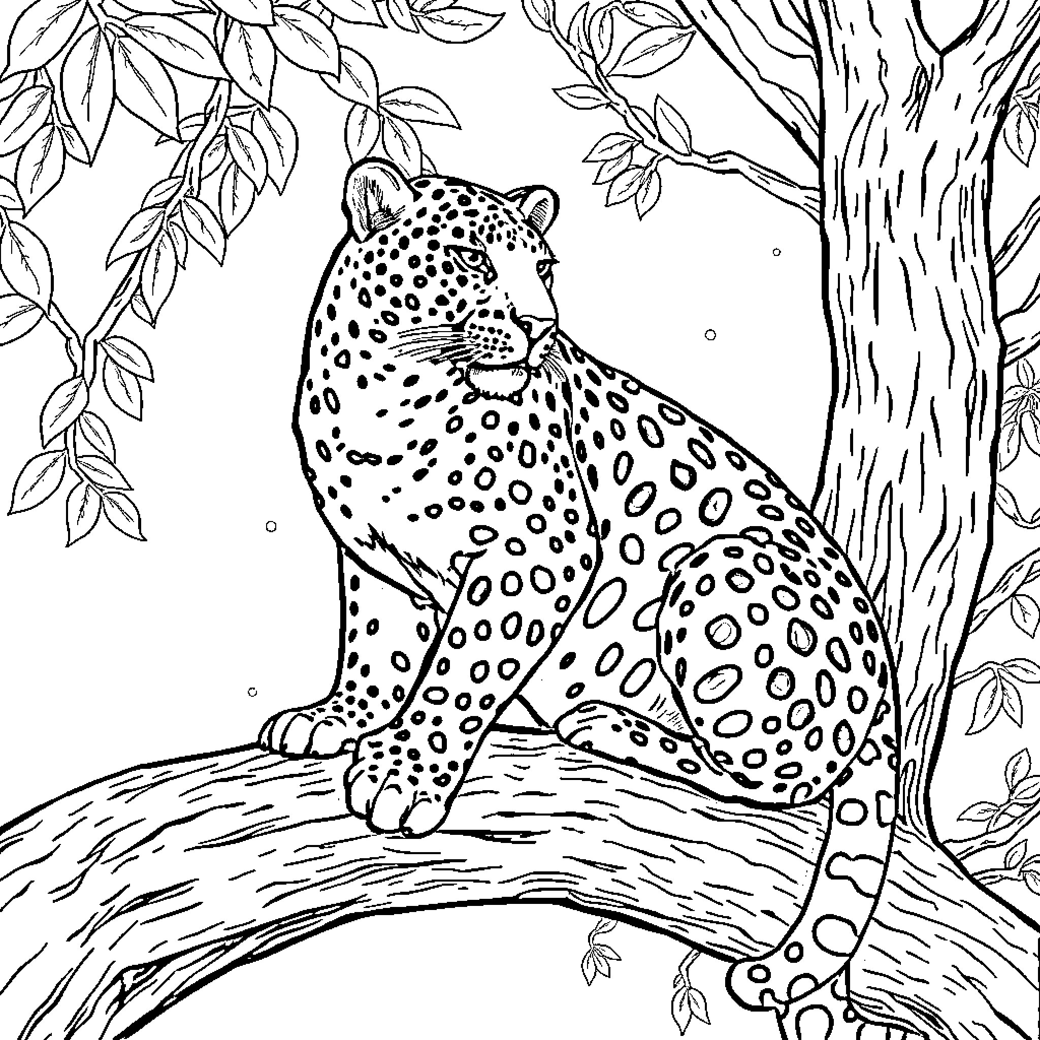 Jaguar resting on a tree branch in the forest Coloring Page (free black-and-white line drawing printable PDF for all, from beginners to advanced learners, including children, teens, adults, and seniors)