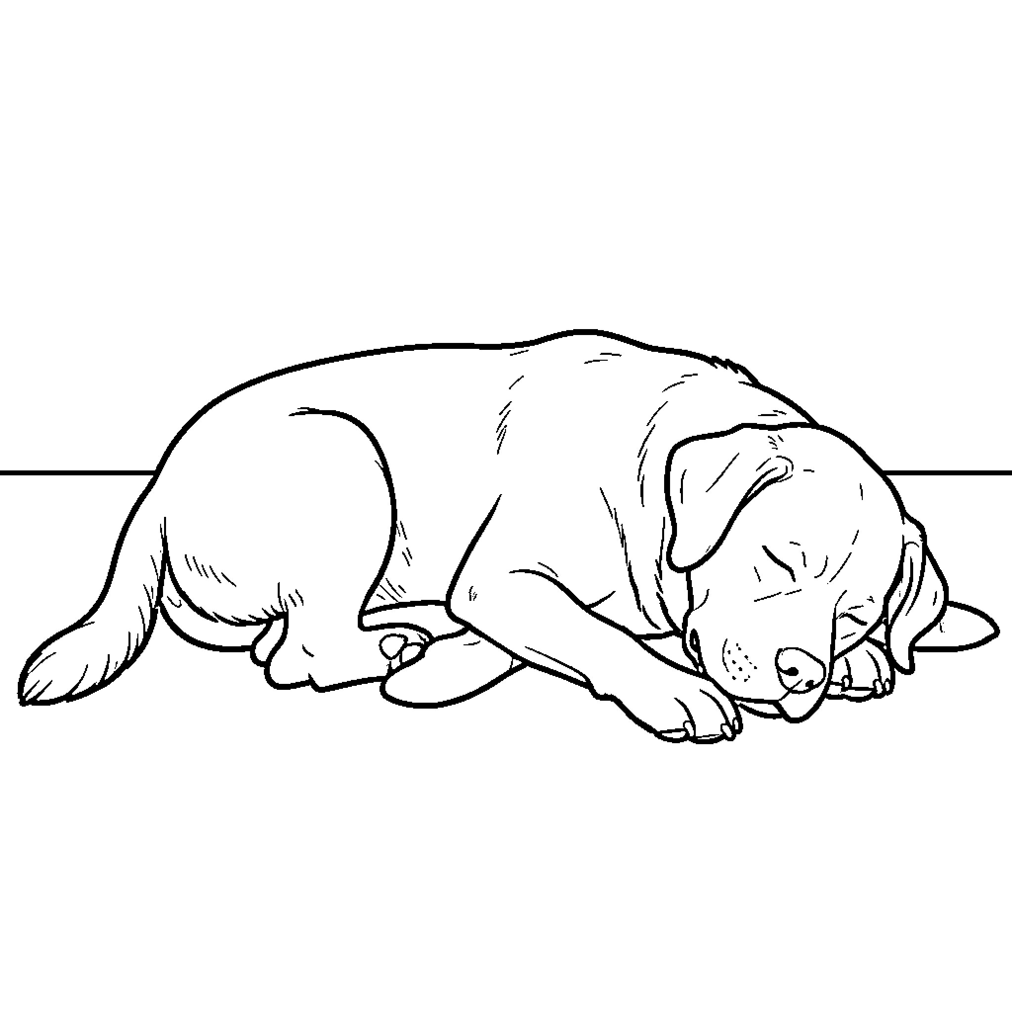 Labrador sleeping peacefully on the floor Coloring Page (free black-and-white line drawing printable PDF for all, from beginners to advanced learners, including children, teens, adults, and seniors)