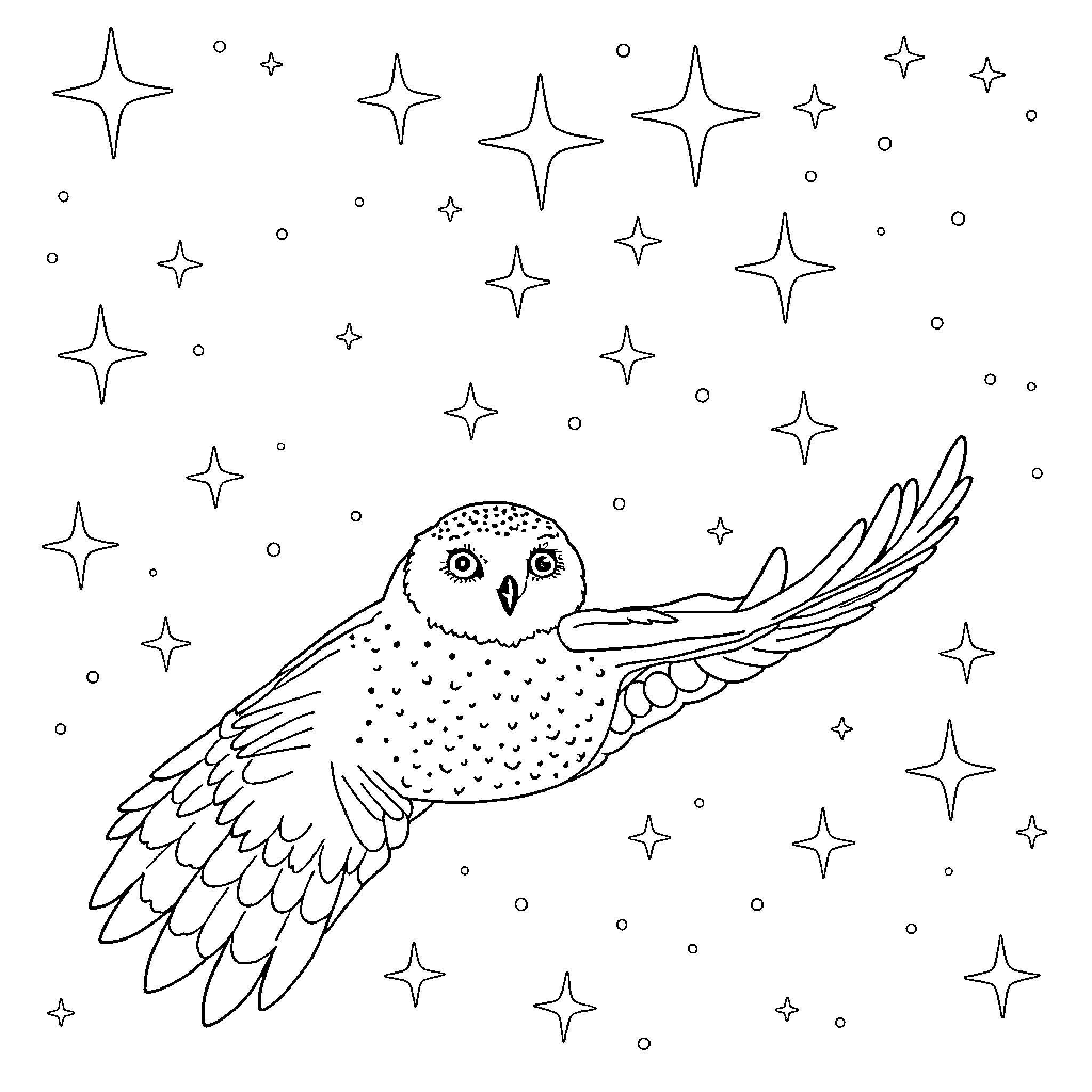 Hedwig soaring amidst twinkling stars Coloring Page (free black-and-white line drawing printable PDF for all, from beginners to advanced learners, including children, teens, adults, and seniors)