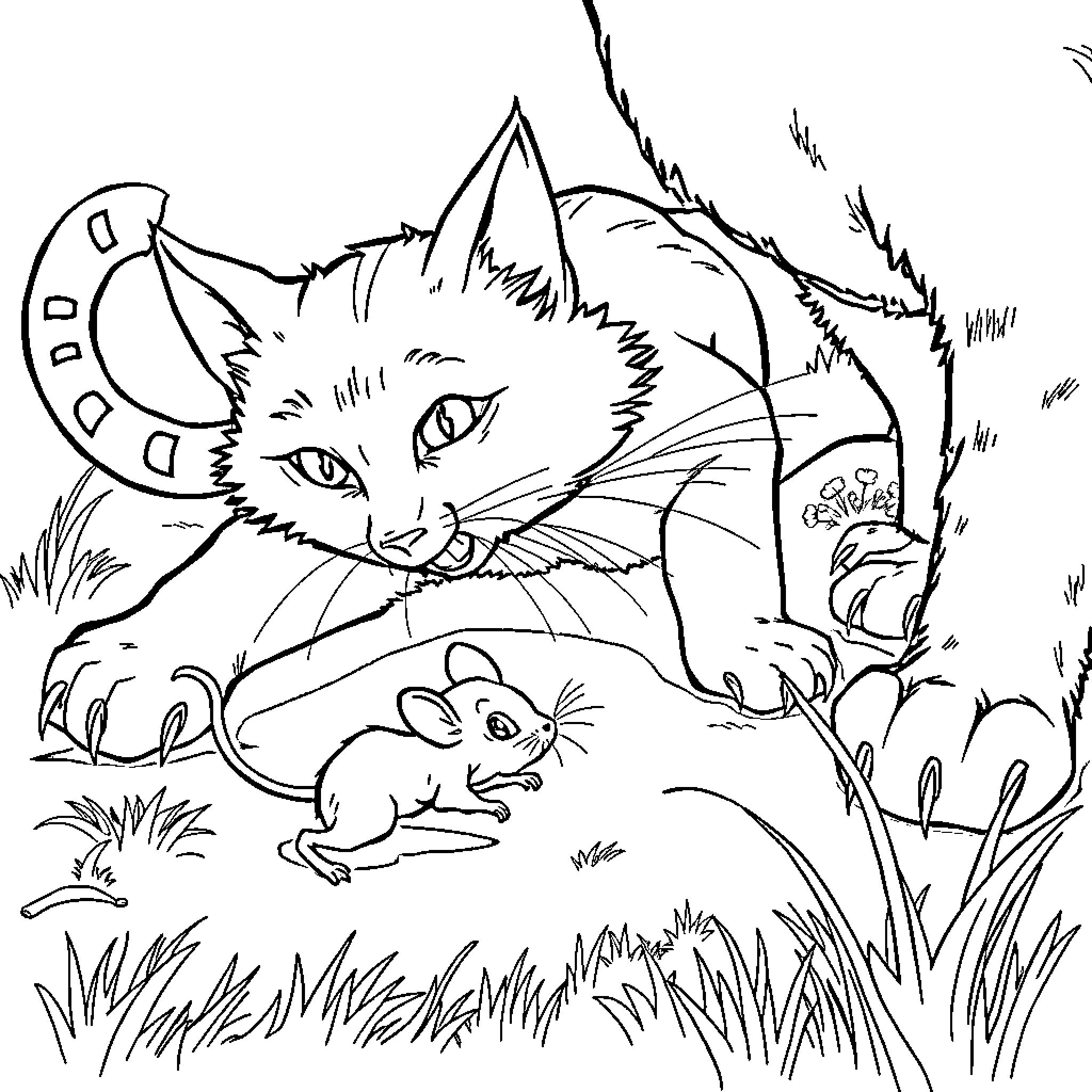 Mouse exploring the wild with a cautious cat Coloring Page (free black-and-white line drawing printable PDF for all, from beginners to advanced learners, including children, teens, adults, and seniors)