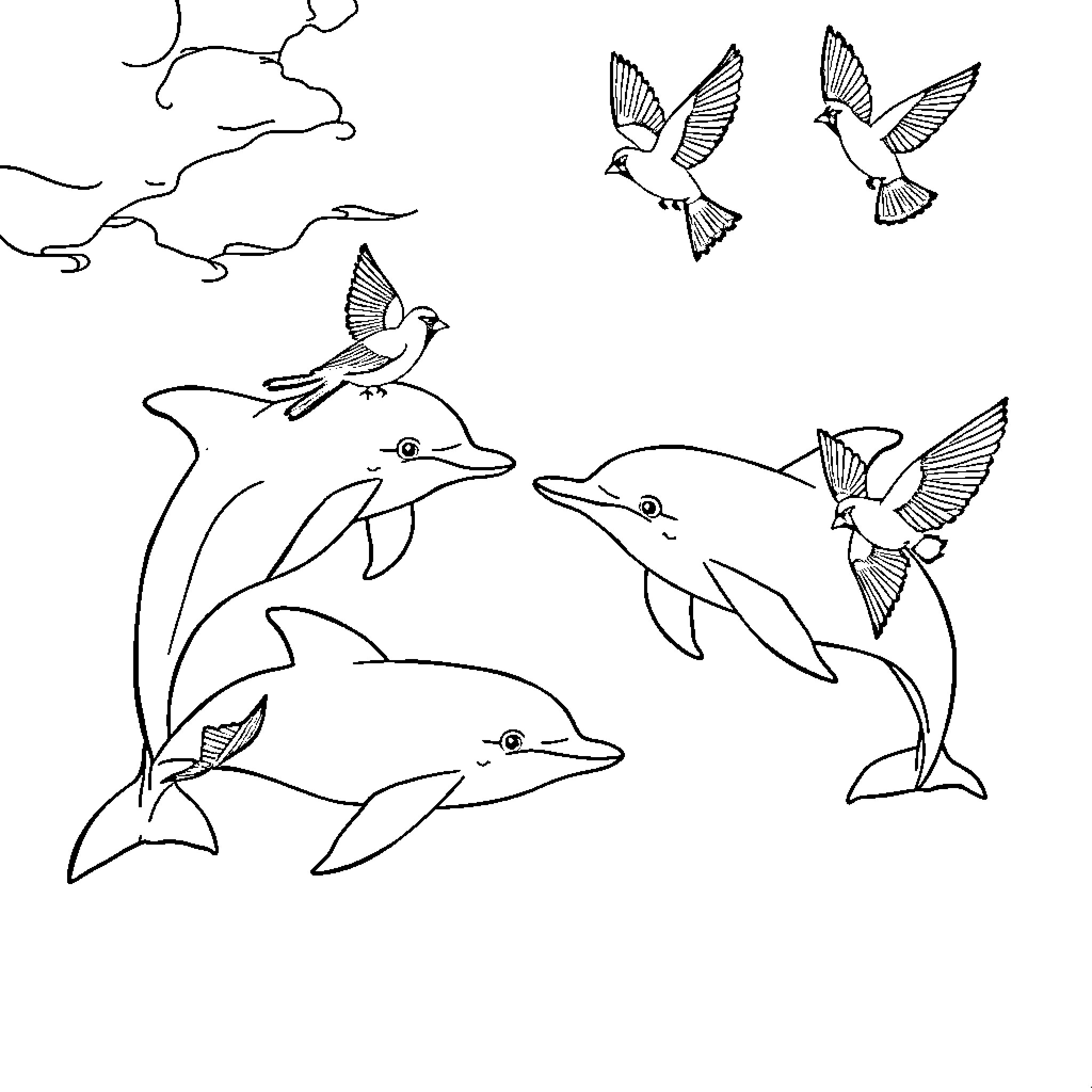 Dolphin swimming joyfully with birds in the sky Coloring Page (free black-and-white line drawing printable PDF for all, from beginners to advanced learners, including children, teens, adults, and seniors)