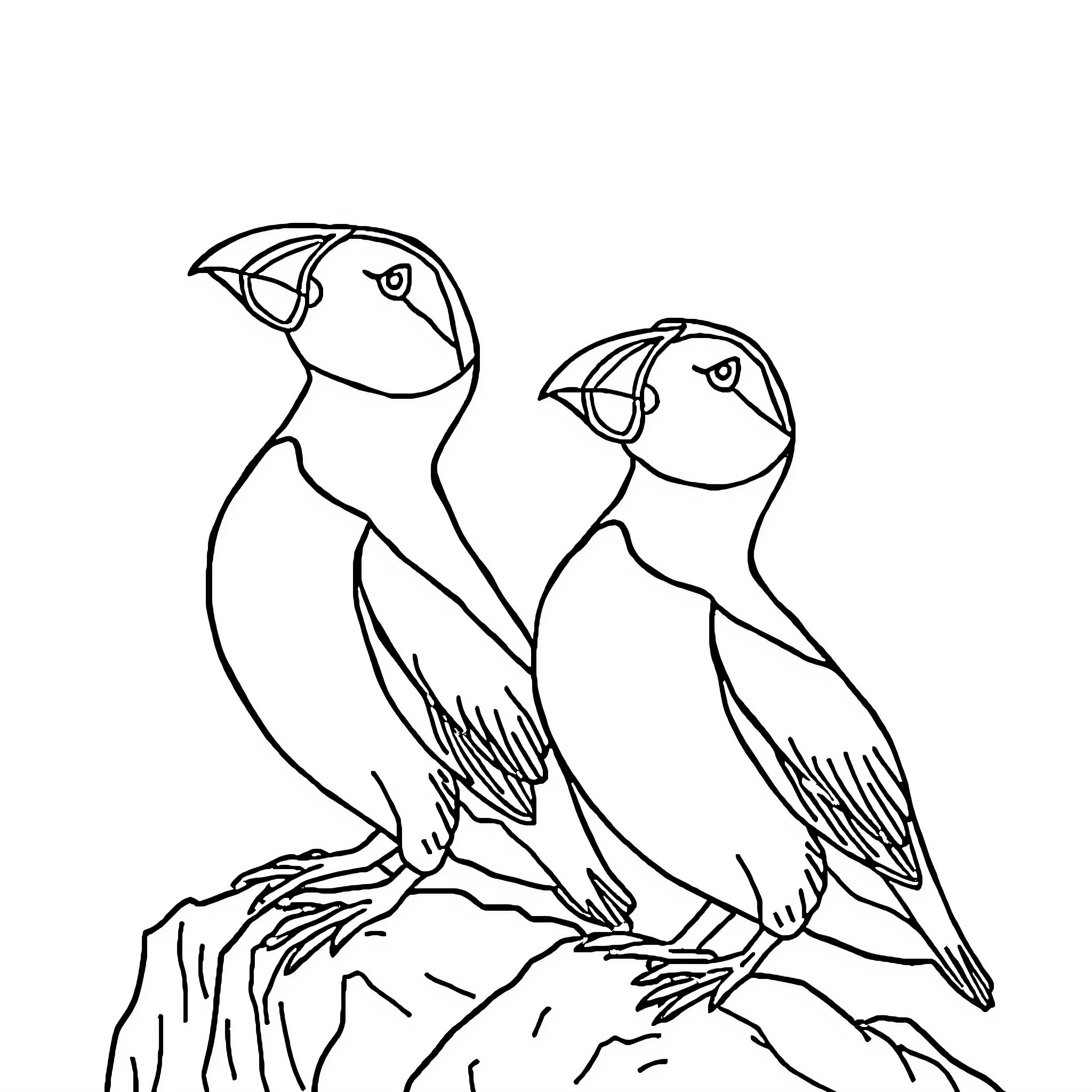 Puffins perched on a rock Coloring Page (free black-and-white line drawing printable PDF for all, from beginners to advanced learners, including children, teens, adults, and seniors)