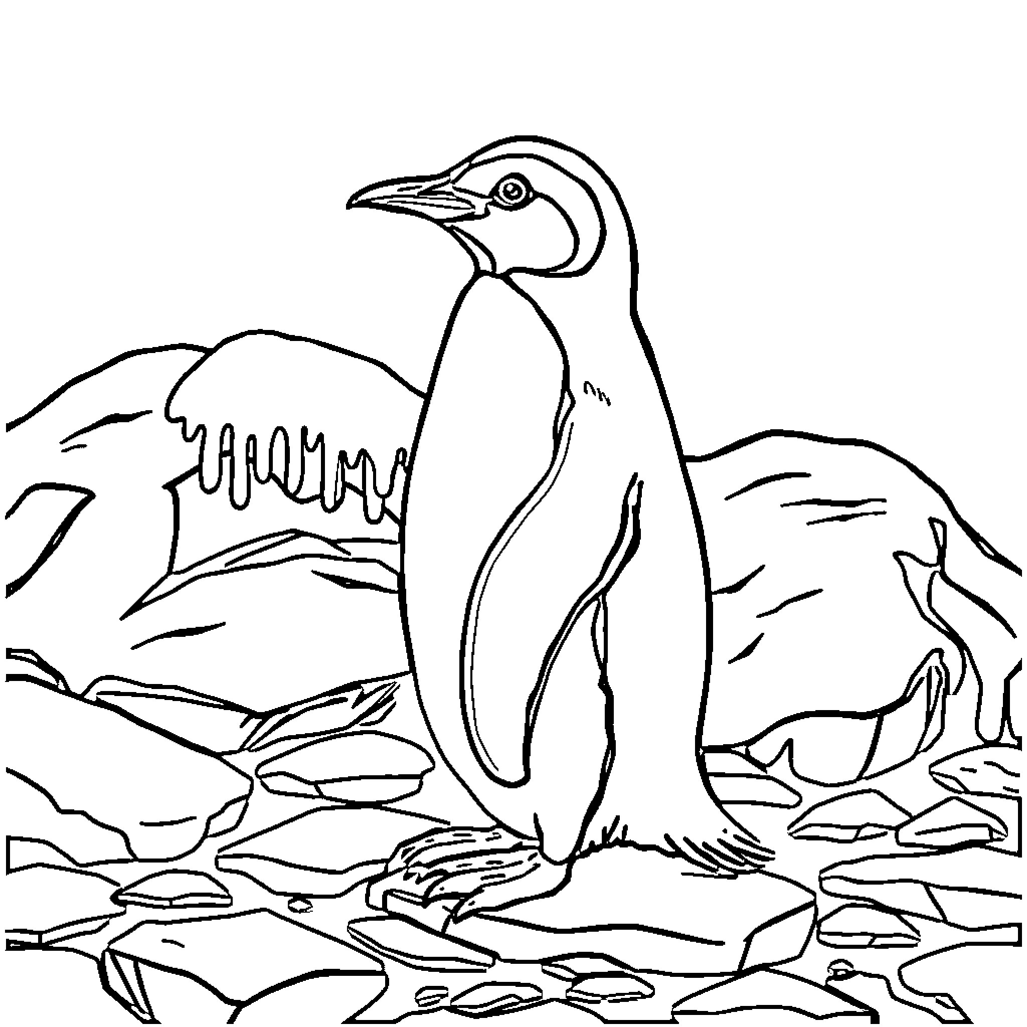 Penguin standing on icy rocks Coloring Page (free black-and-white line drawing printable PDF for all, from beginners to advanced learners, including children, teens, adults, and seniors)