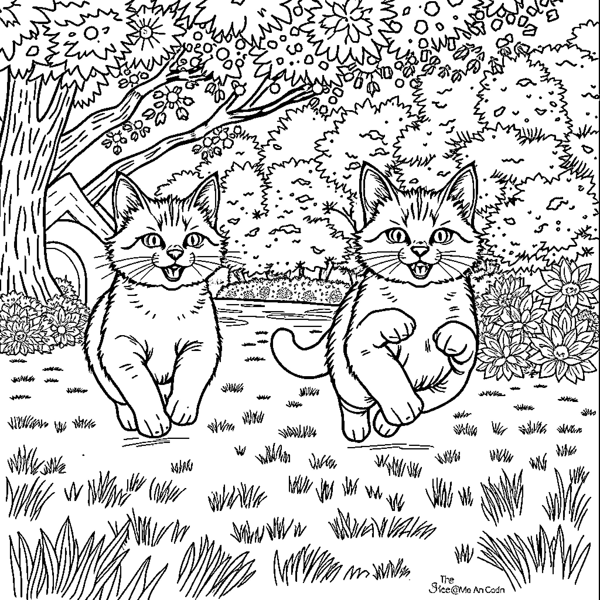 Cat Companions Exploring Nature's Wonders Coloring Page (free black-and-white line drawing printable PDF for all, from beginners to advanced learners, including children, teens, adults, and seniors)