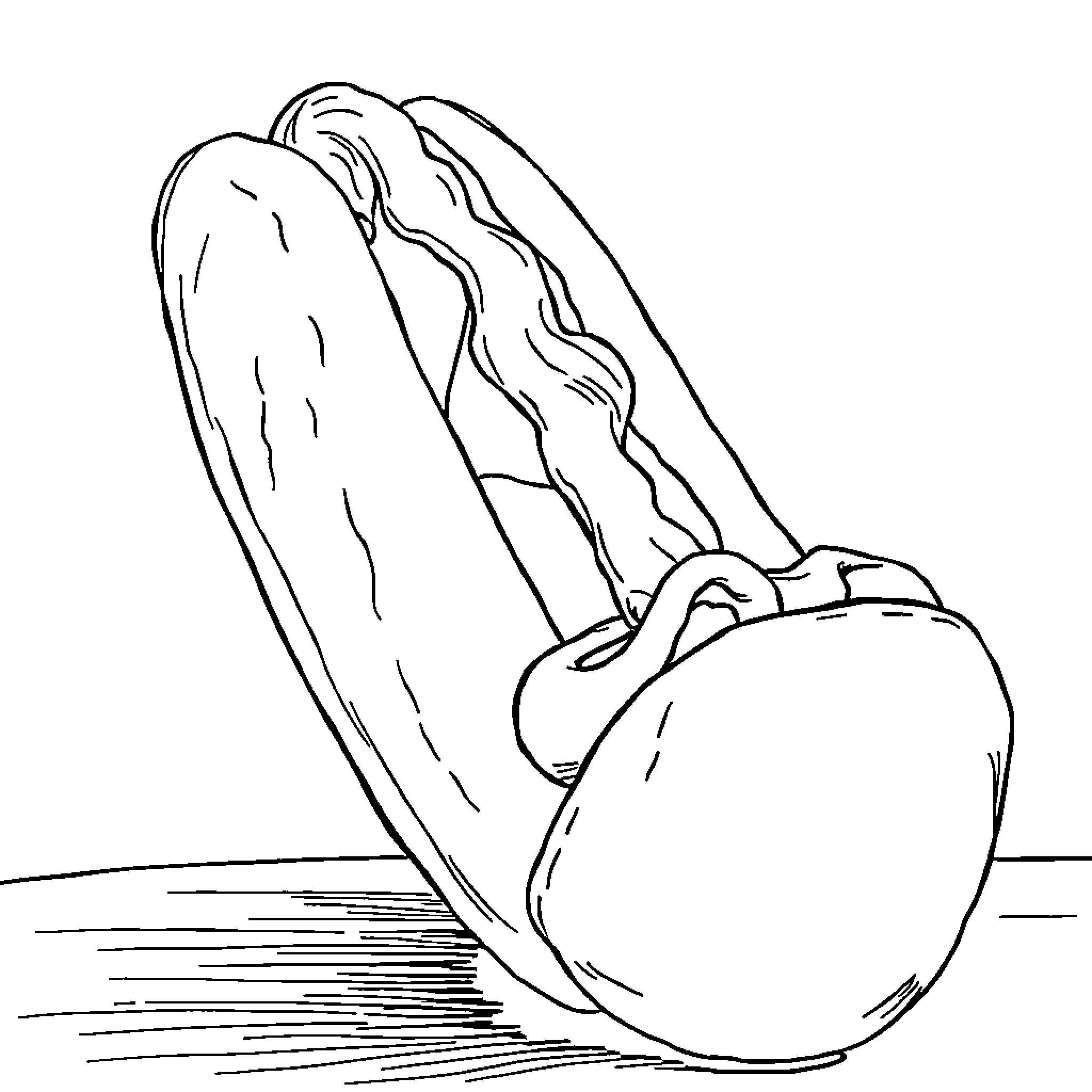 Wiener sausage in simple line art Coloring Page (free black-and-white line drawing printable PDF for all, from beginners to advanced learners, including children, teens, adults, and seniors)
