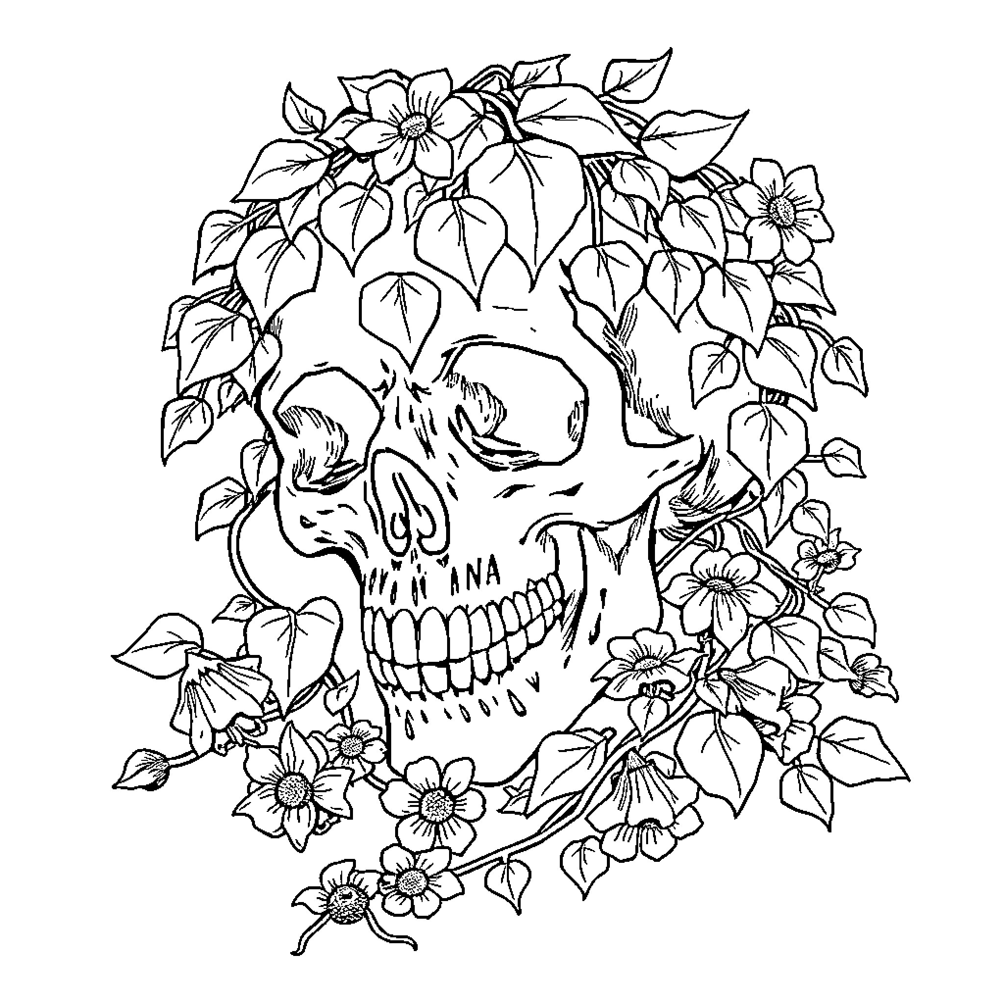 Skull surrounded by floral foliage Coloring Page (free black-and-white line drawing printable PDF for all, from beginners to advanced learners, including children, teens, adults, and seniors)