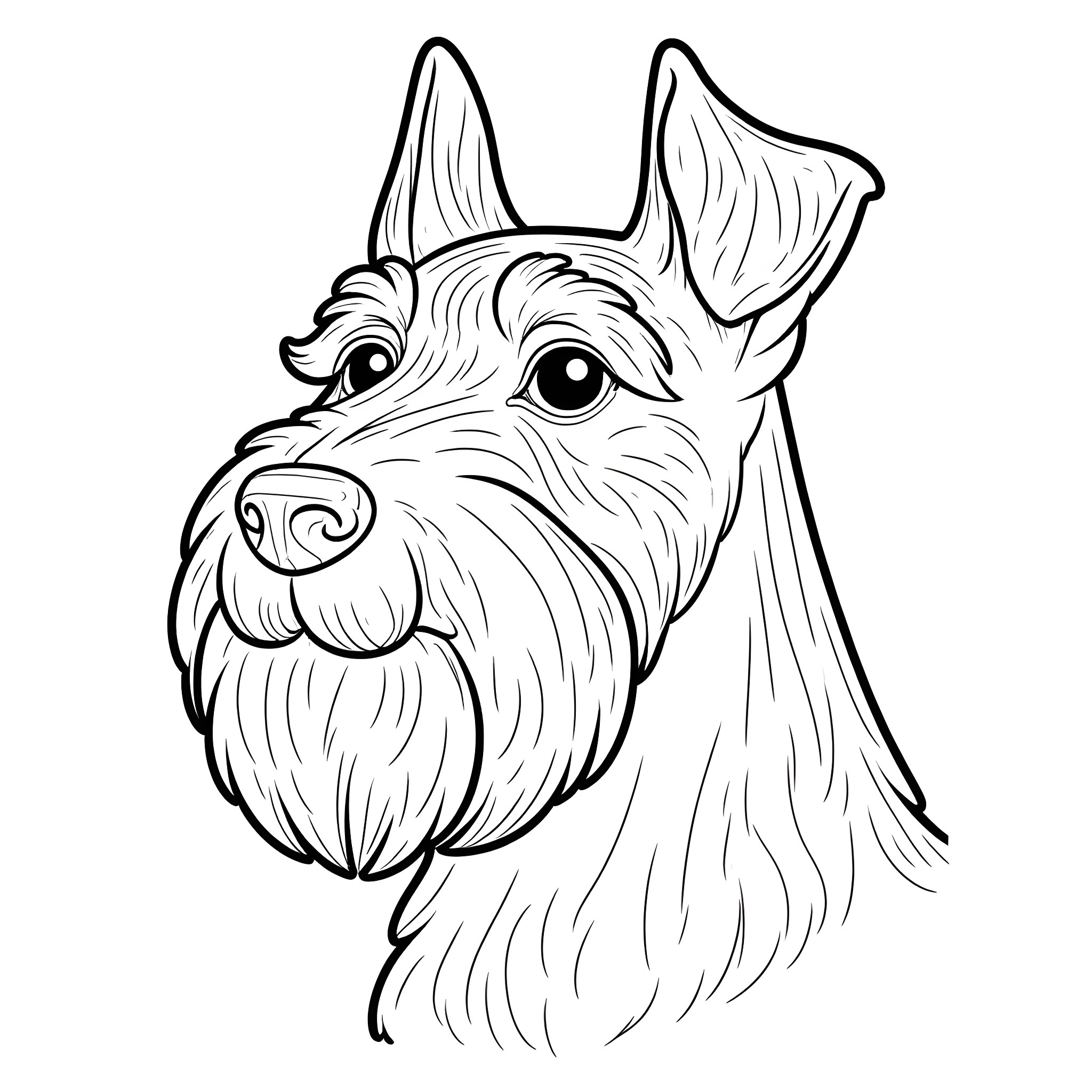Schnauzer gazing intently with focused expression Coloring Page (free black-and-white line drawing printable PDF for all, from beginners to advanced learners, including children, teens, adults, and seniors)