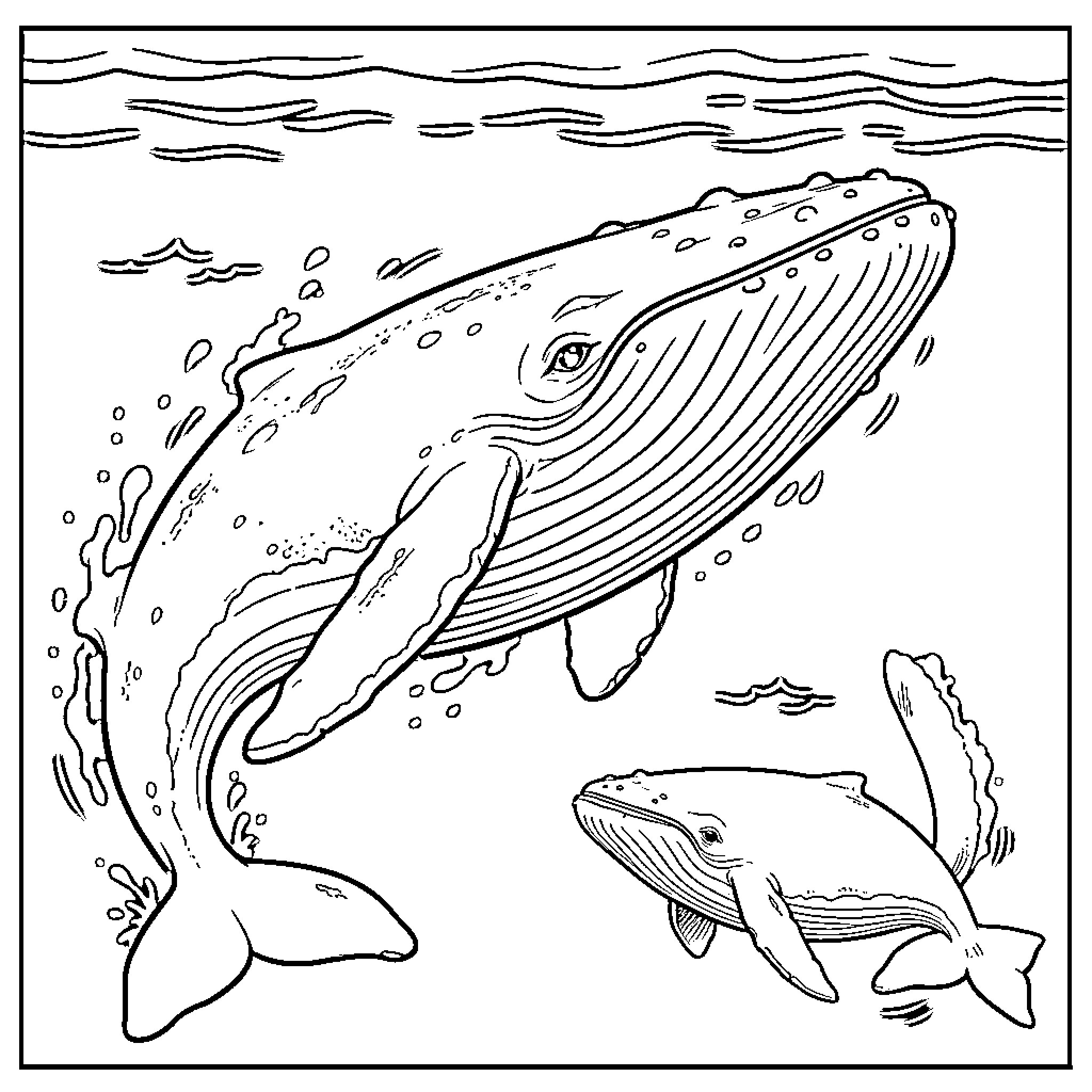 Whale swimming gracefully in the ocean Coloring Page (free black-and-white line drawing printable PDF for all, from beginners to advanced learners, including children, teens, adults, and seniors)