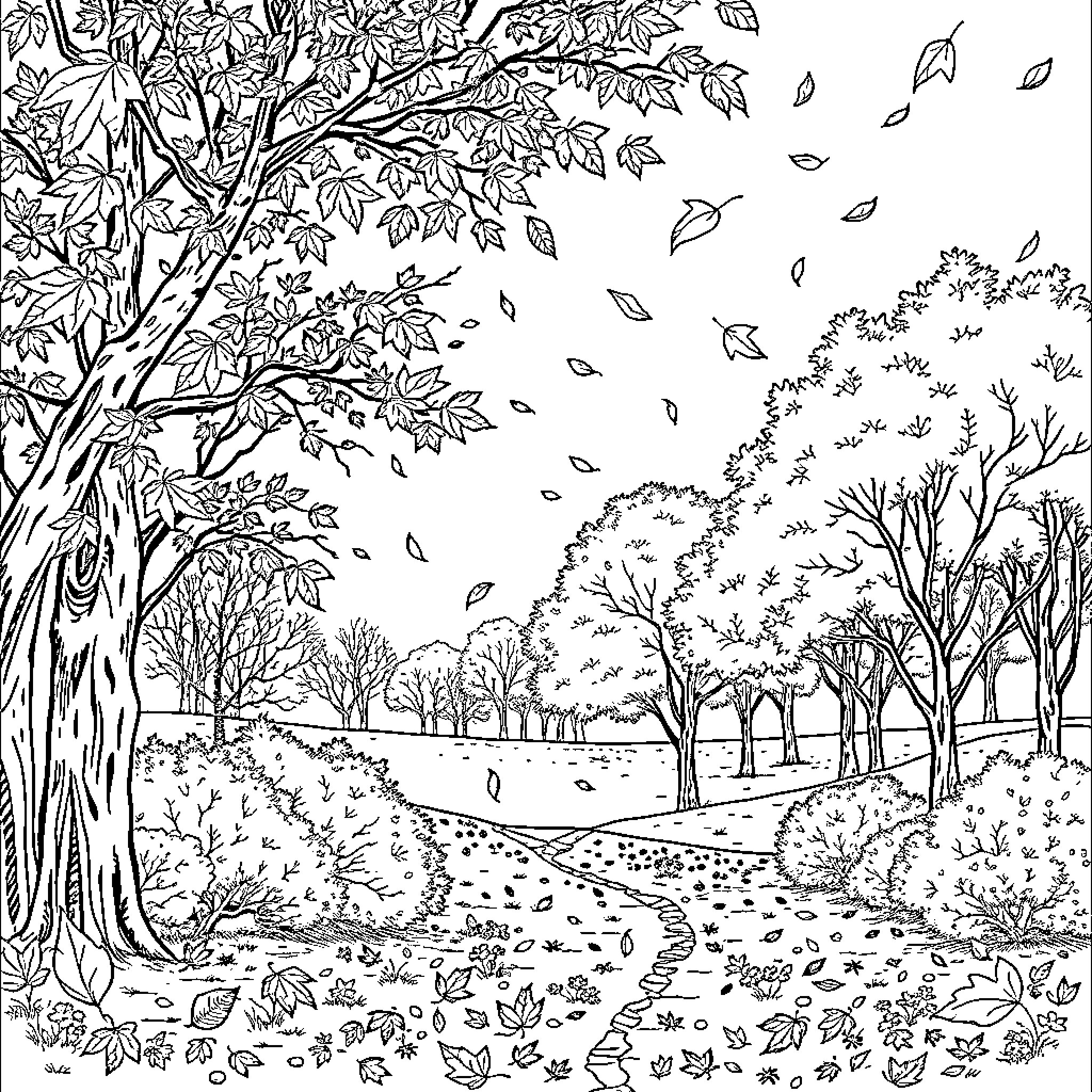 Autumn Scenery of a Peaceful Woodland Path Coloring Page (free black-and-white line drawing printable PDF for all, from beginners to advanced learners, including children, teens, adults, and seniors)