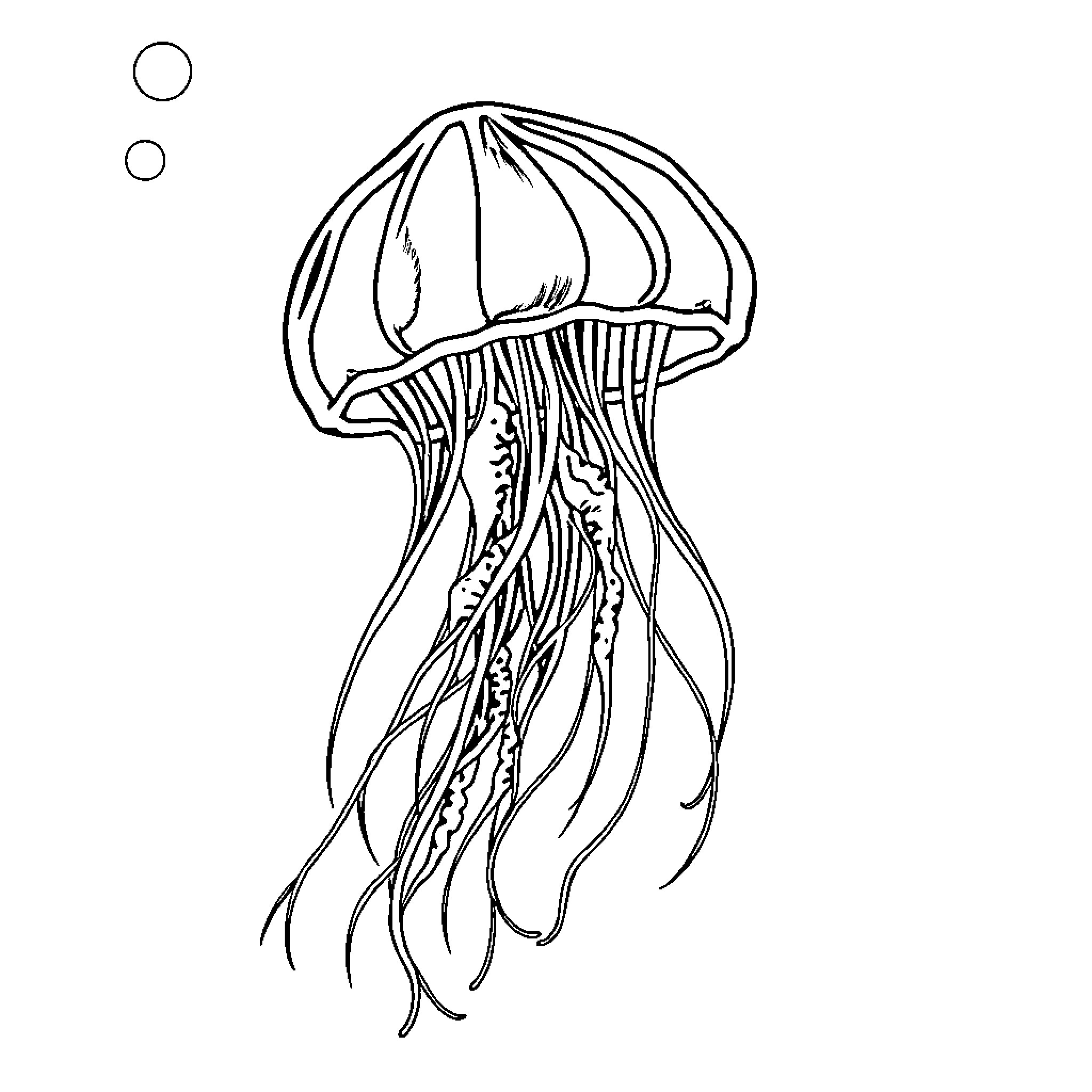 Jellyfish drifting gracefully in the sea Coloring Page (free black-and-white line drawing printable PDF for all, from beginners to advanced learners, including children, teens, adults, and seniors)