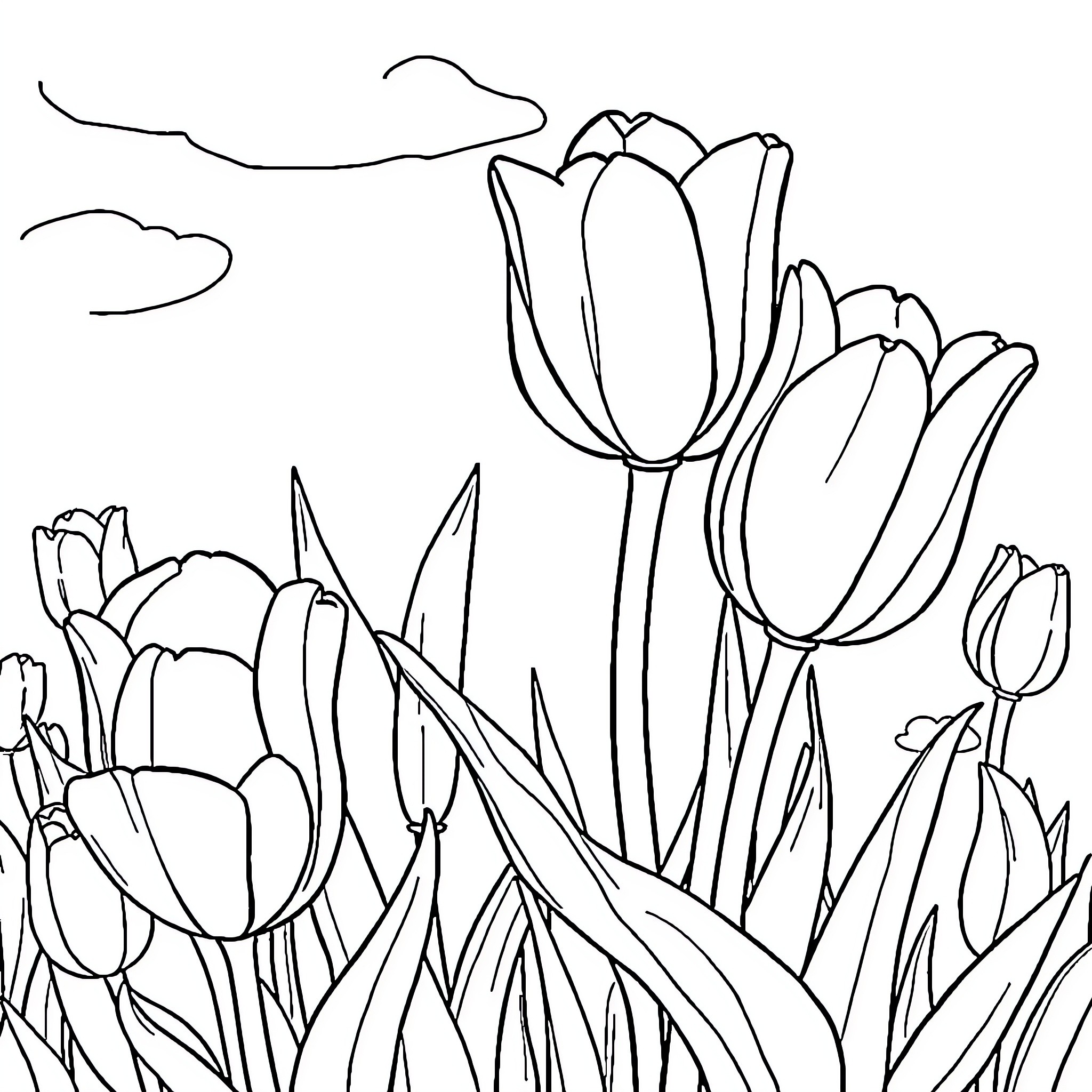 Tulip flowers blooming in the garden Coloring Page (free black-and-white line drawing printable PDF for all, from beginners to advanced learners, including children, teens, adults, and seniors)