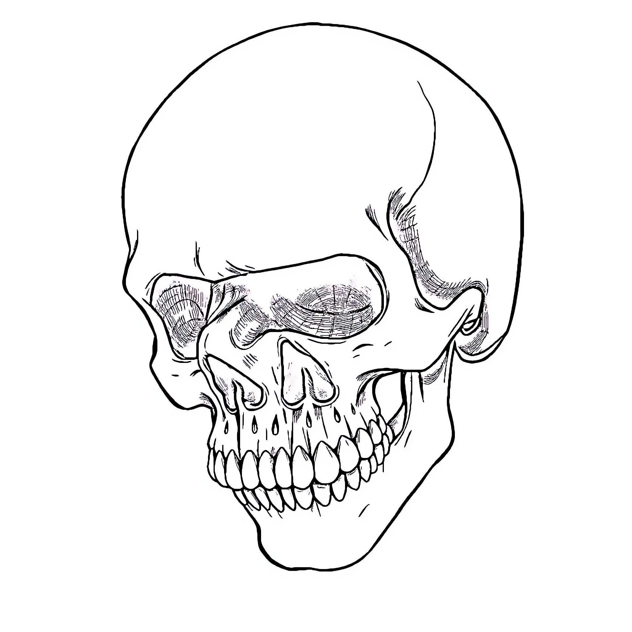 Death's Grimace: A Skull's Haunting Visage Coloring Page (free black-and-white line drawing printable PDF for all, from beginners to advanced learners, including children, teens, adults, and seniors)