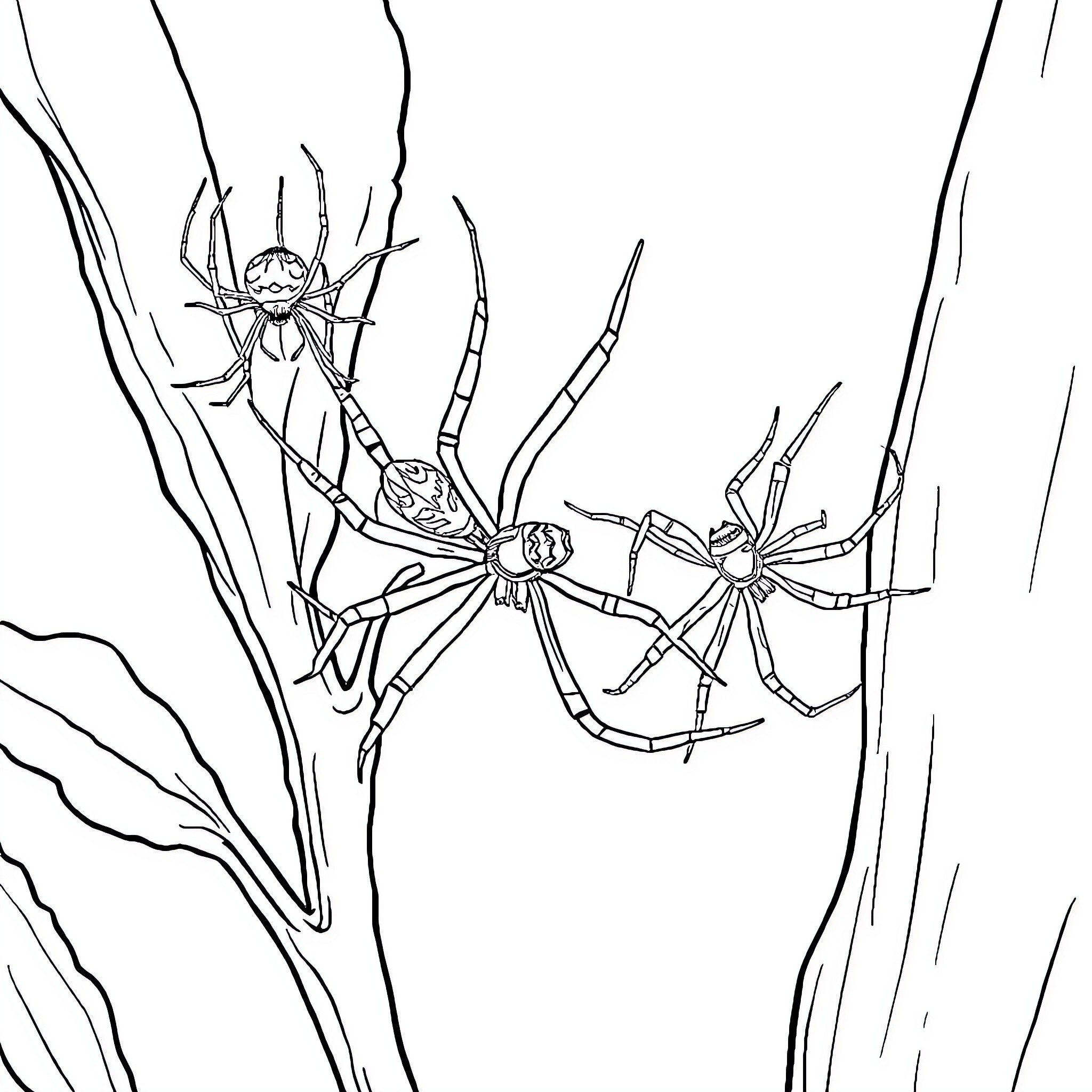 Spider-like creatures in a dark environment Coloring Page (free black-and-white line drawing printable PDF for all, from beginners to advanced learners, including children, teens, adults, and seniors)