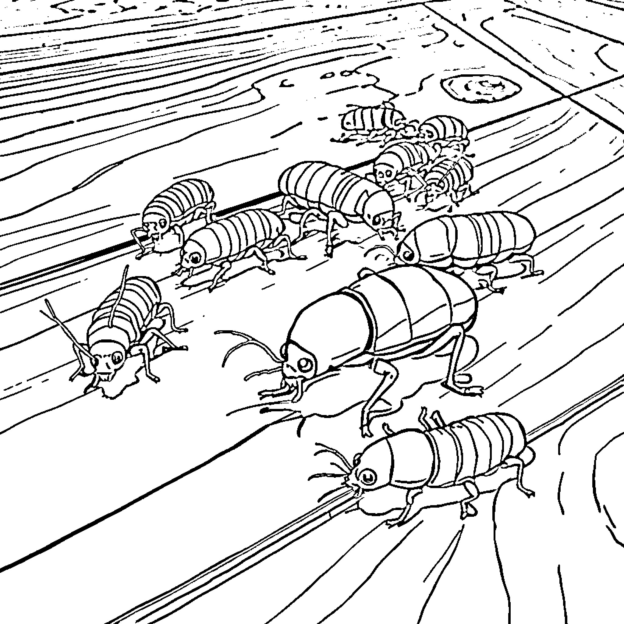 Termite colony marching in formation on wooden surface Coloring Page (free black-and-white line drawing printable PDF for all, from beginners to advanced learners, including children, teens, adults, and seniors)