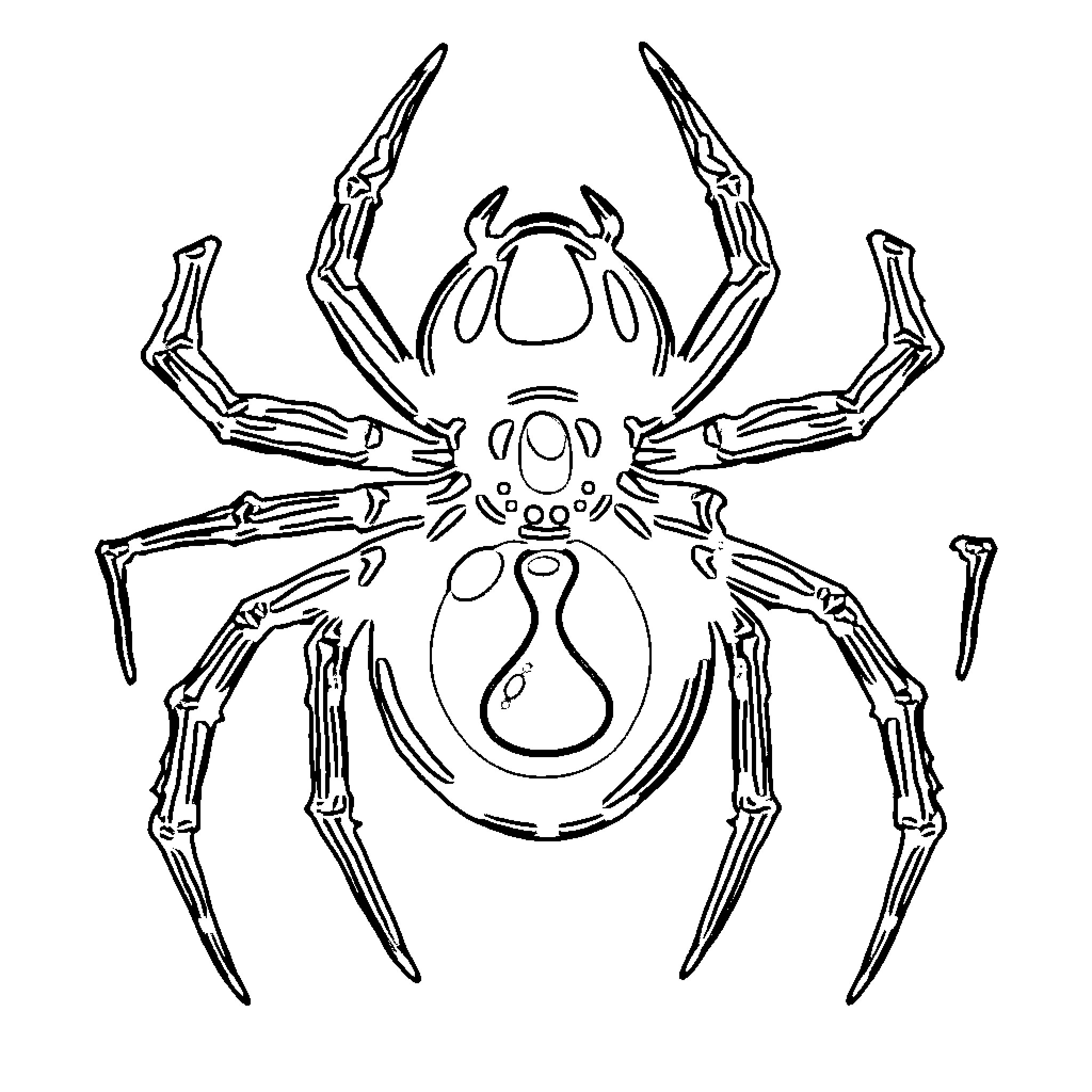 Black Widow Spider with menacing skeletal features Coloring Page (free black-and-white line drawing printable PDF for all, from beginners to advanced learners, including children, teens, adults, and seniors)