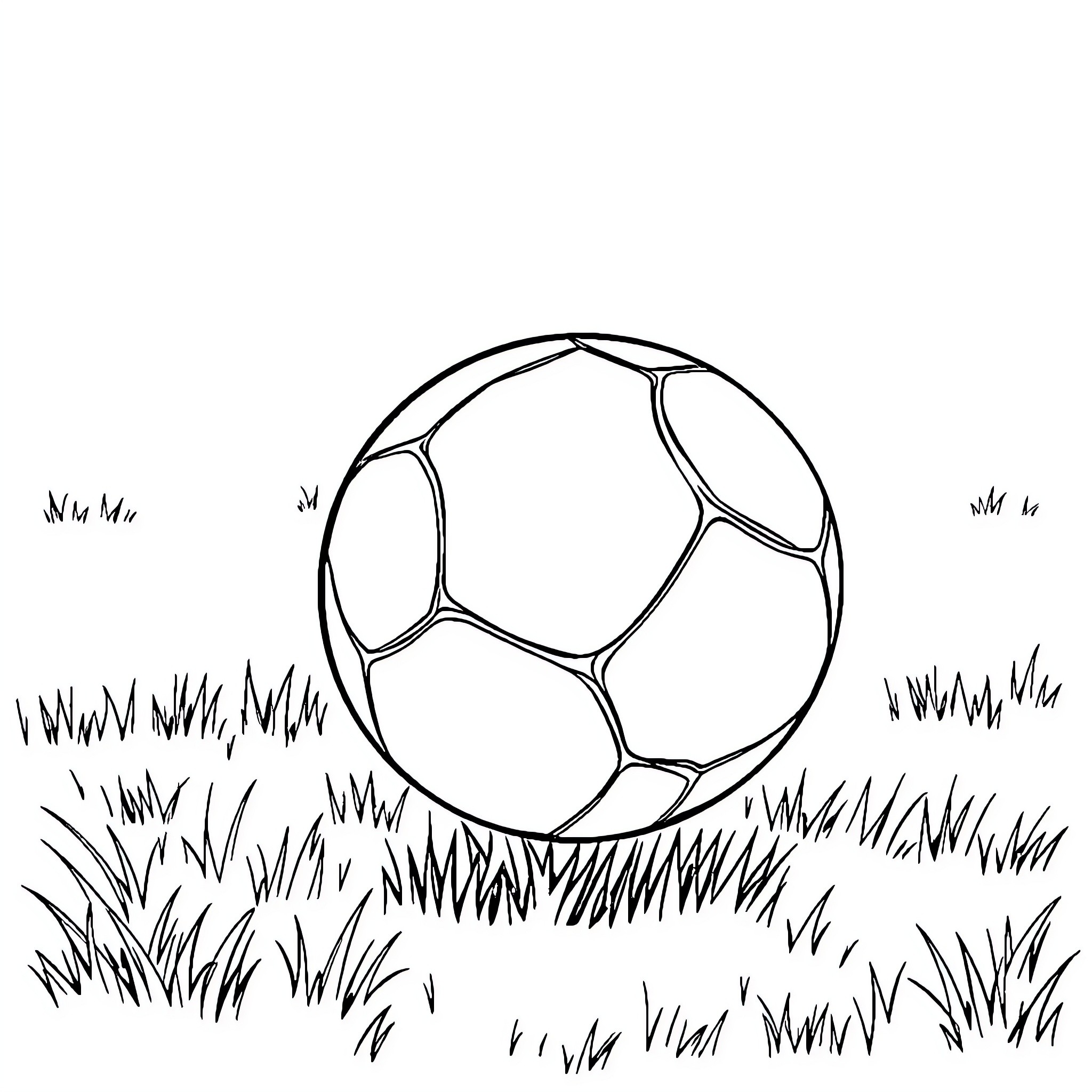 Ball rolling on grassy field Coloring Page (free black-and-white line drawing printable PDF for all, from beginners to advanced learners, including children, teens, adults, and seniors)