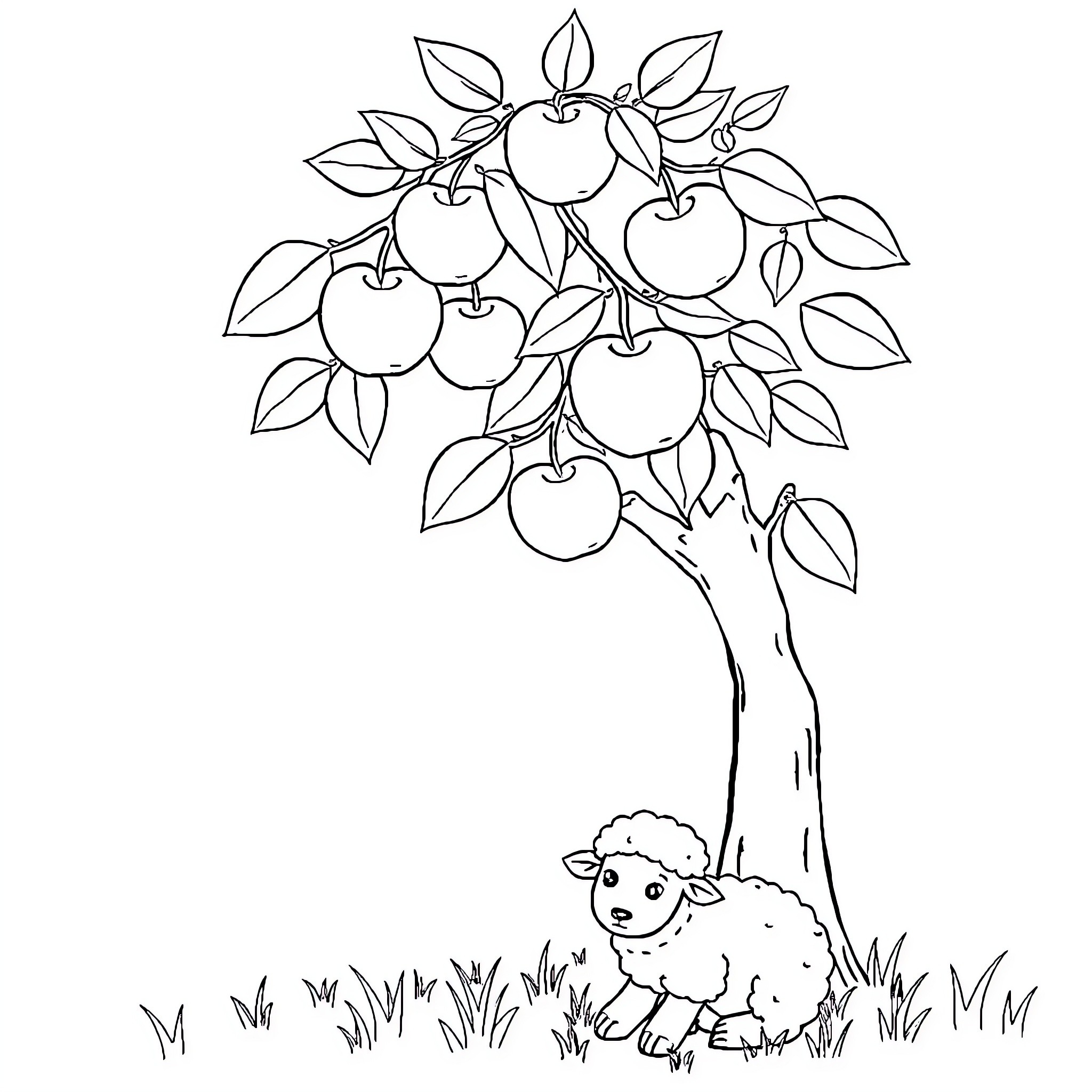 Apple Tree with Sheep Grazing Beneath Coloring Page (free black-and-white line drawing printable PDF for all, from beginners to advanced learners, including children, teens, adults, and seniors)