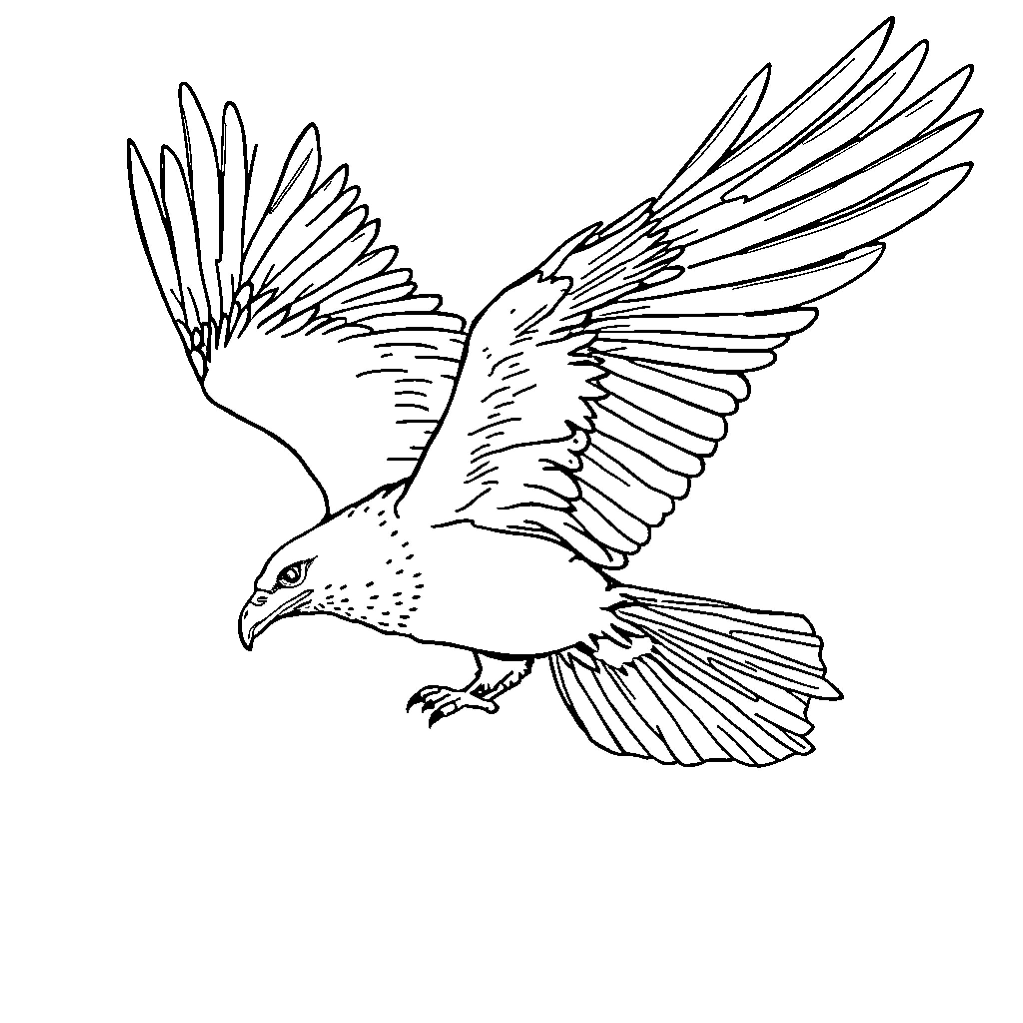 Eagle soaring in mid-flight Coloring Page (free black-and-white line drawing printable PDF for all, from beginners to advanced learners, including children, teens, adults, and seniors)