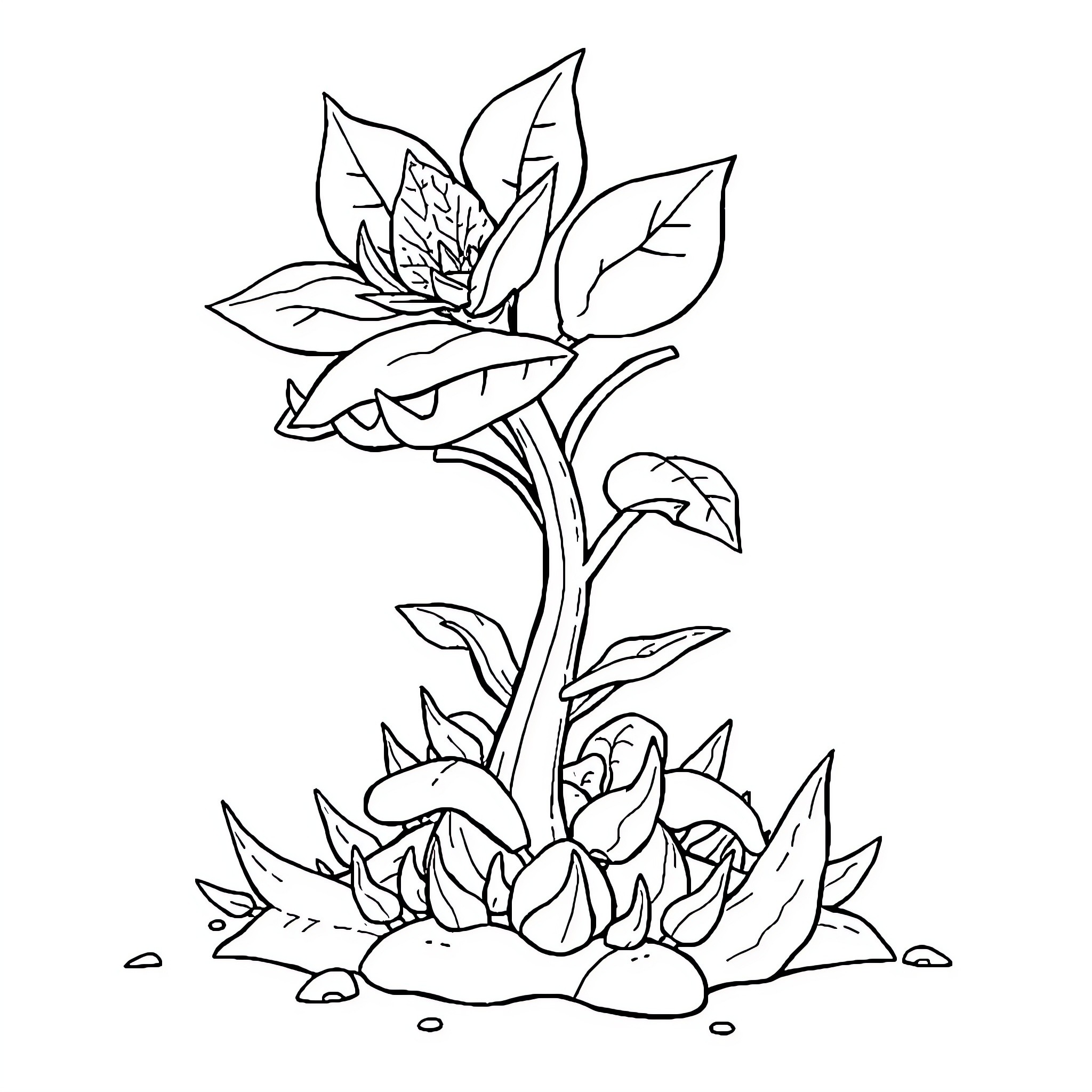 Plant growing from rocky terrain Coloring Page (free black-and-white line drawing printable PDF for all, from beginners to advanced learners, including children, teens, adults, and seniors)