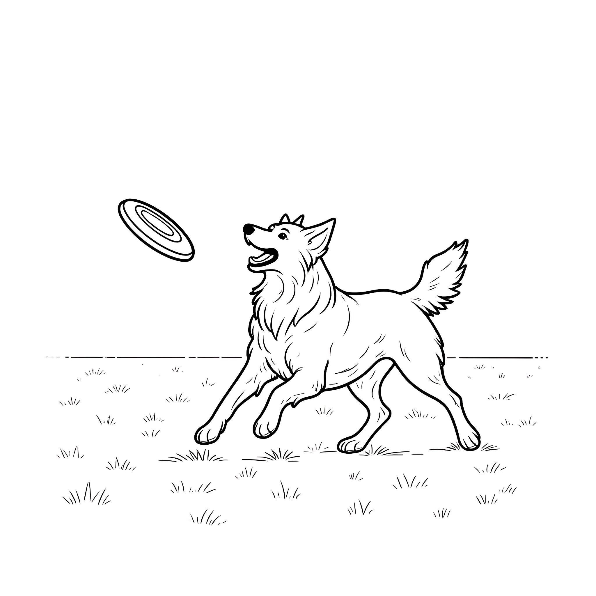 Border Collie playing with frisbee in the park Coloring Page (free black-and-white line drawing printable PDF for all, from beginners to advanced learners, including children, teens, adults, and seniors)