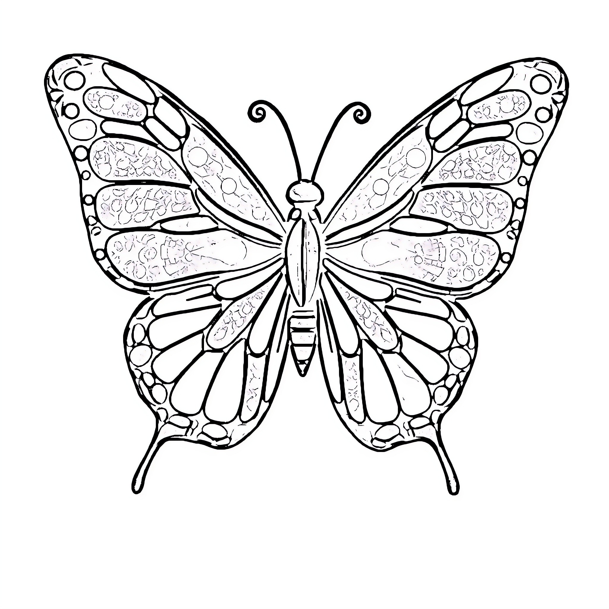 Butterfly with intricate wings Coloring Page (free black-and-white line drawing printable PDF for all, from beginners to advanced learners, including children, teens, adults, and seniors)