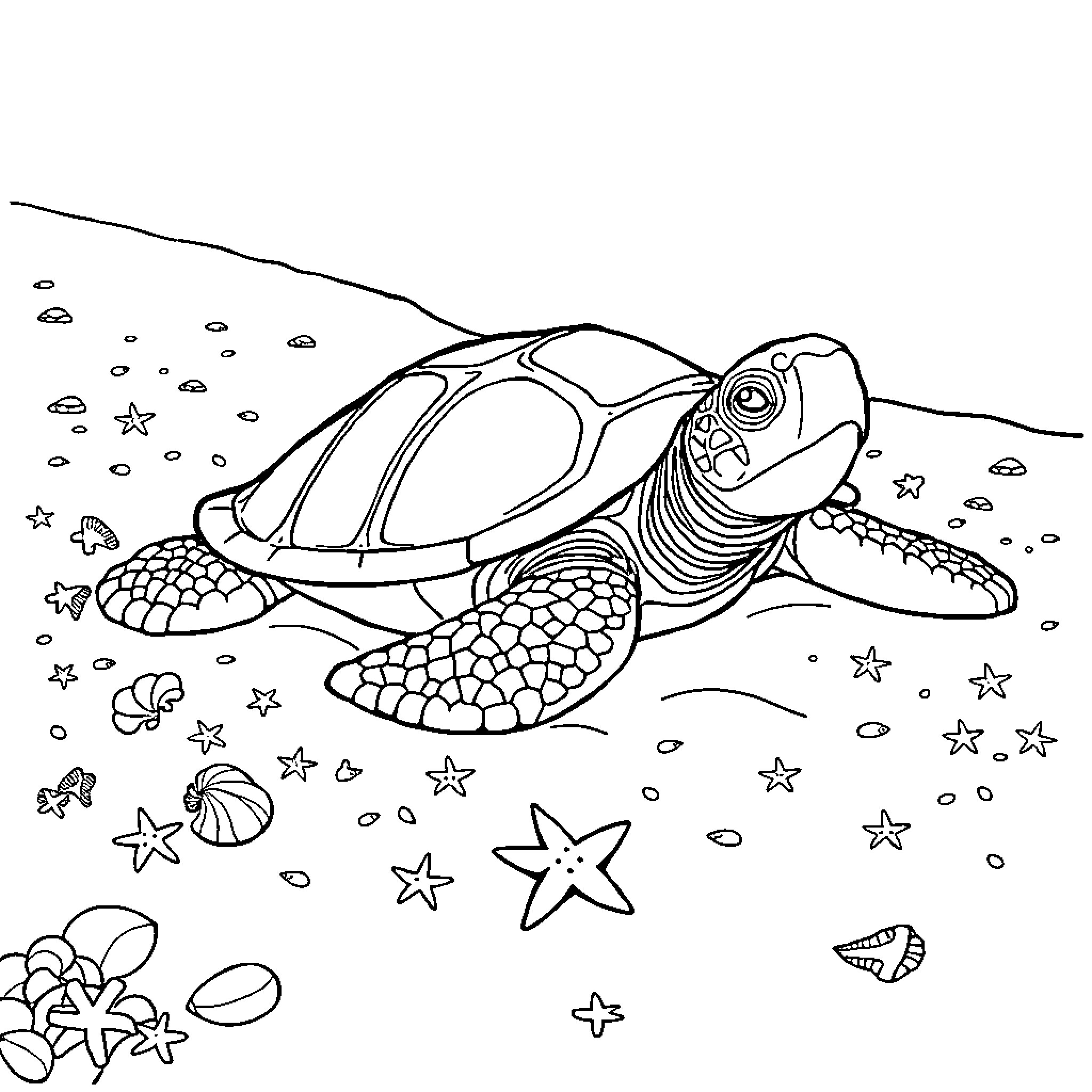Turtle exploring the ocean floor Coloring Page (free black-and-white line drawing printable PDF for all, from beginners to advanced learners, including children, teens, adults, and seniors)