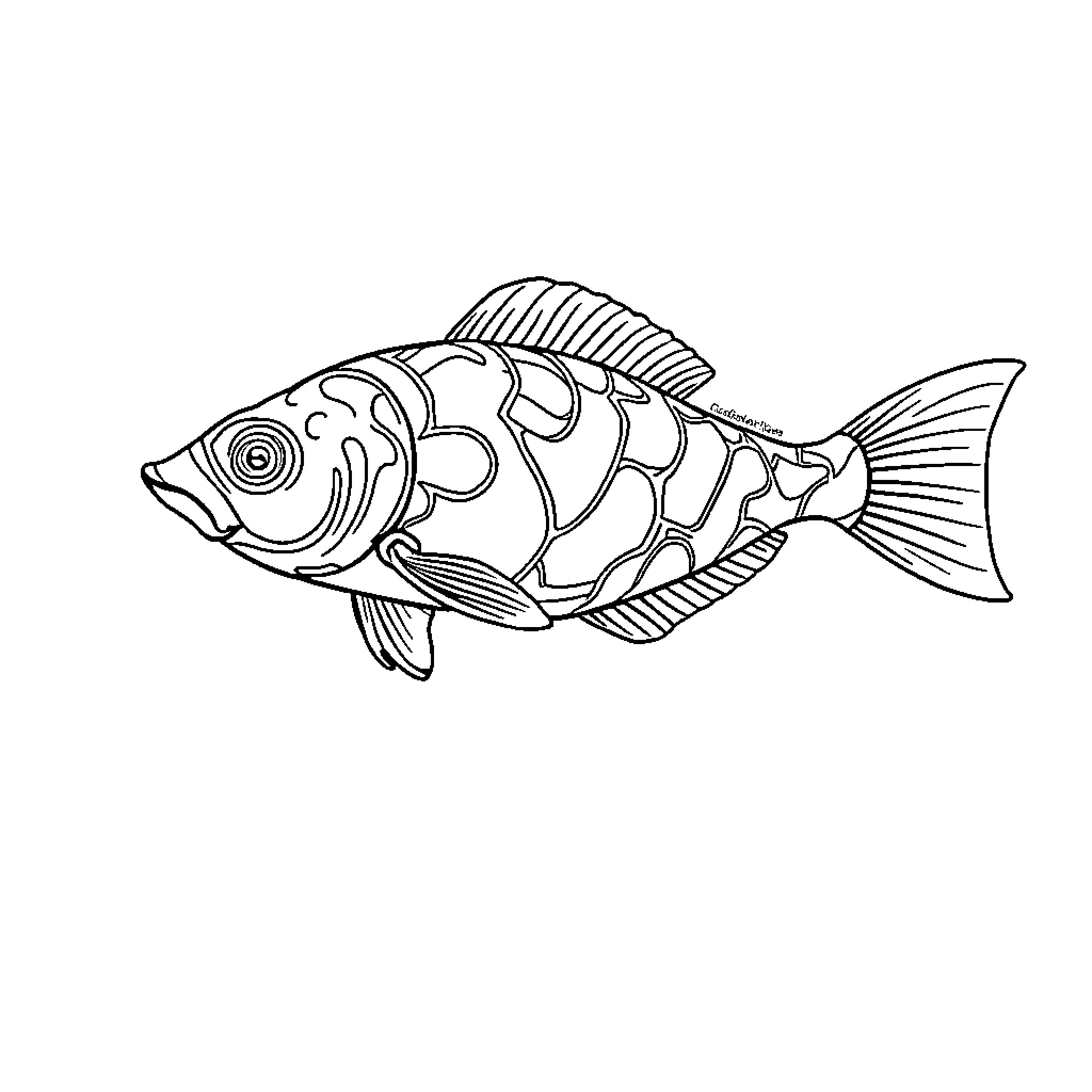 Cachalote fish swimming in the water Coloring Page (free black-and-white line drawing printable PDF for all, from beginners to advanced learners, including children, teens, adults, and seniors)