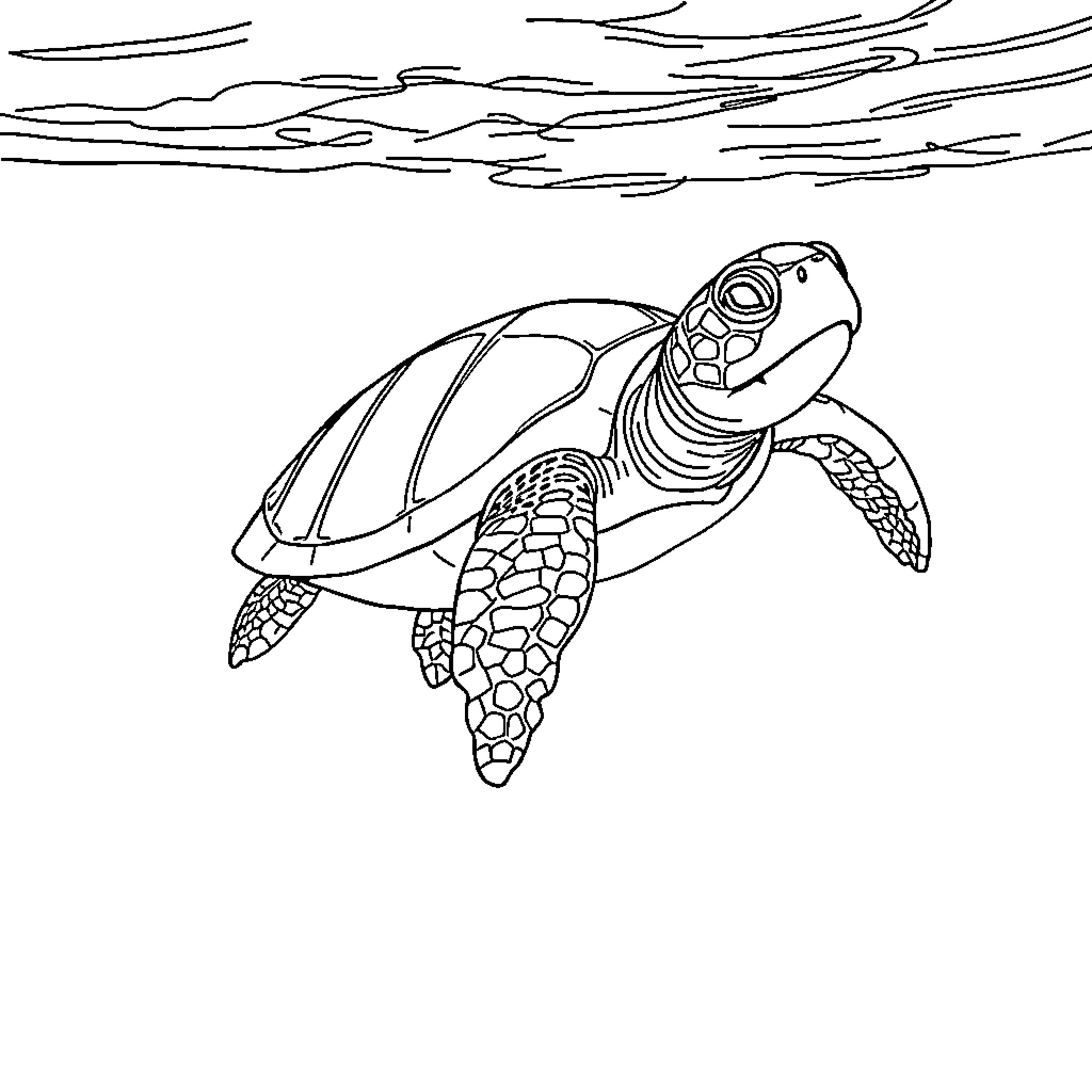 Turtle swimming in the ocean Coloring Page (free black-and-white line drawing printable PDF for all, from beginners to advanced learners, including children, teens, adults, and seniors)