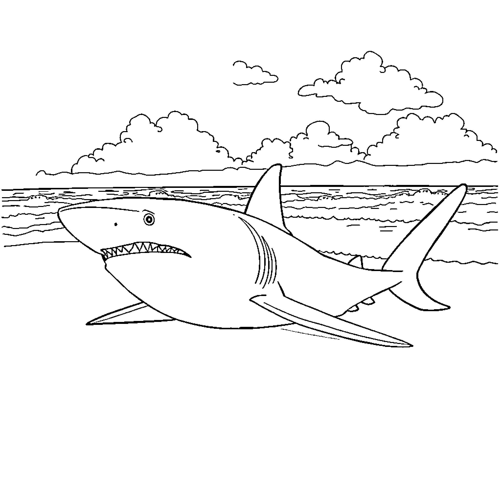 Shark hunting in the ocean Coloring Page (free black-and-white line drawing printable PDF for all, from beginners to advanced learners, including children, teens, adults, and seniors)