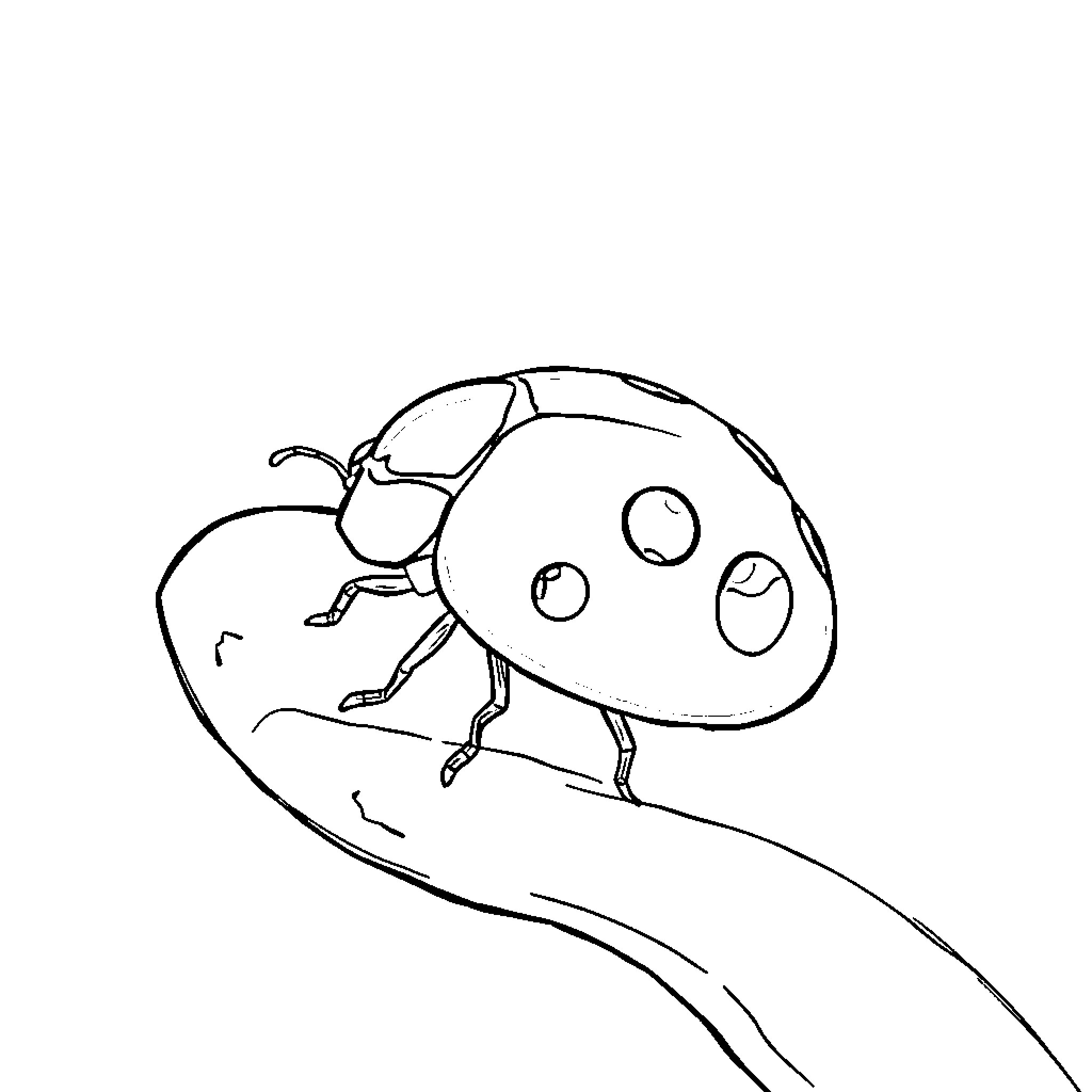 Ladybug climbing on a leaf Coloring Page (free black-and-white line drawing printable PDF for all, from beginners to advanced learners, including children, teens, adults, and seniors)