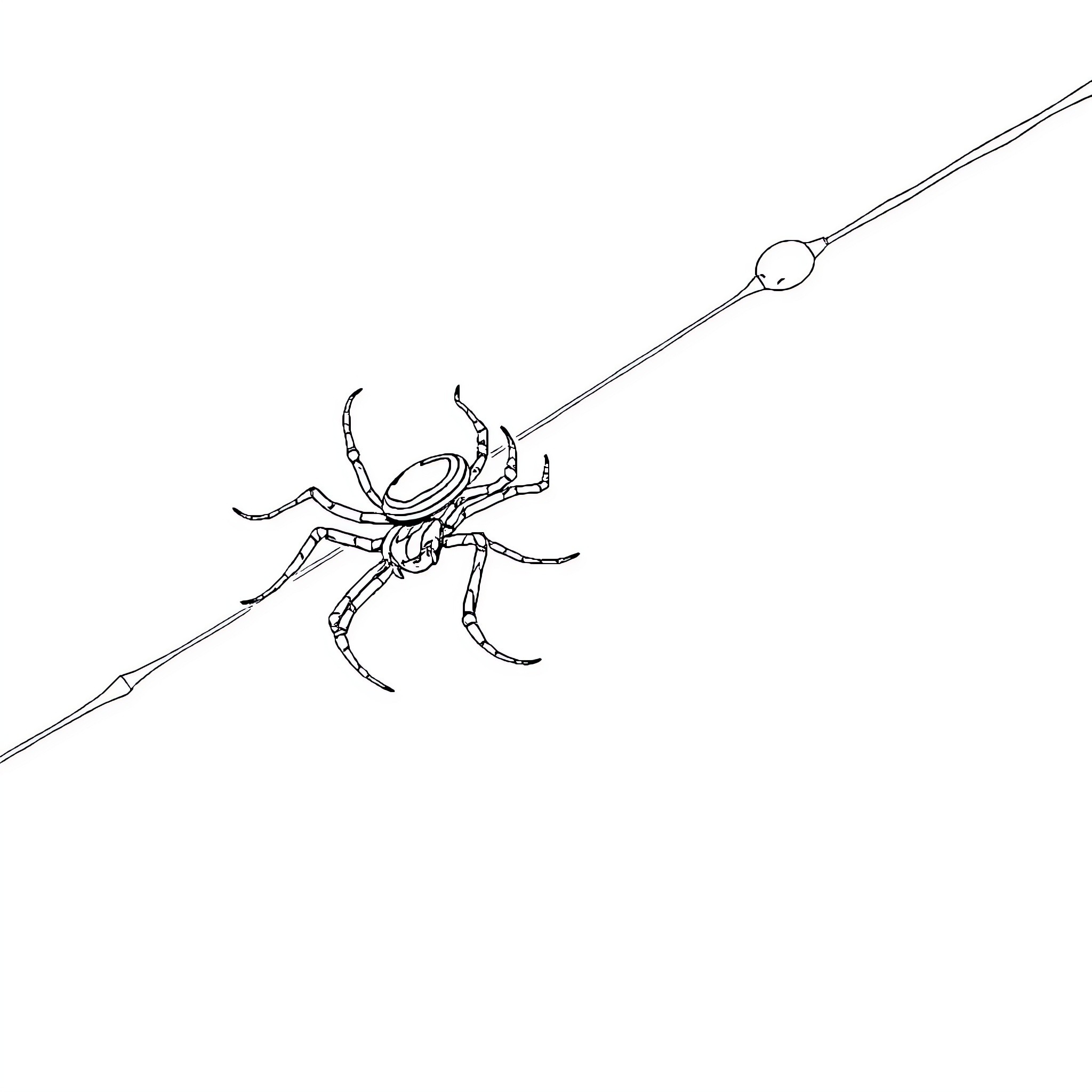 Spider crawling cautiously on a branch Coloring Page (free black-and-white line drawing printable PDF for all, from beginners to advanced learners, including children, teens, adults, and seniors)