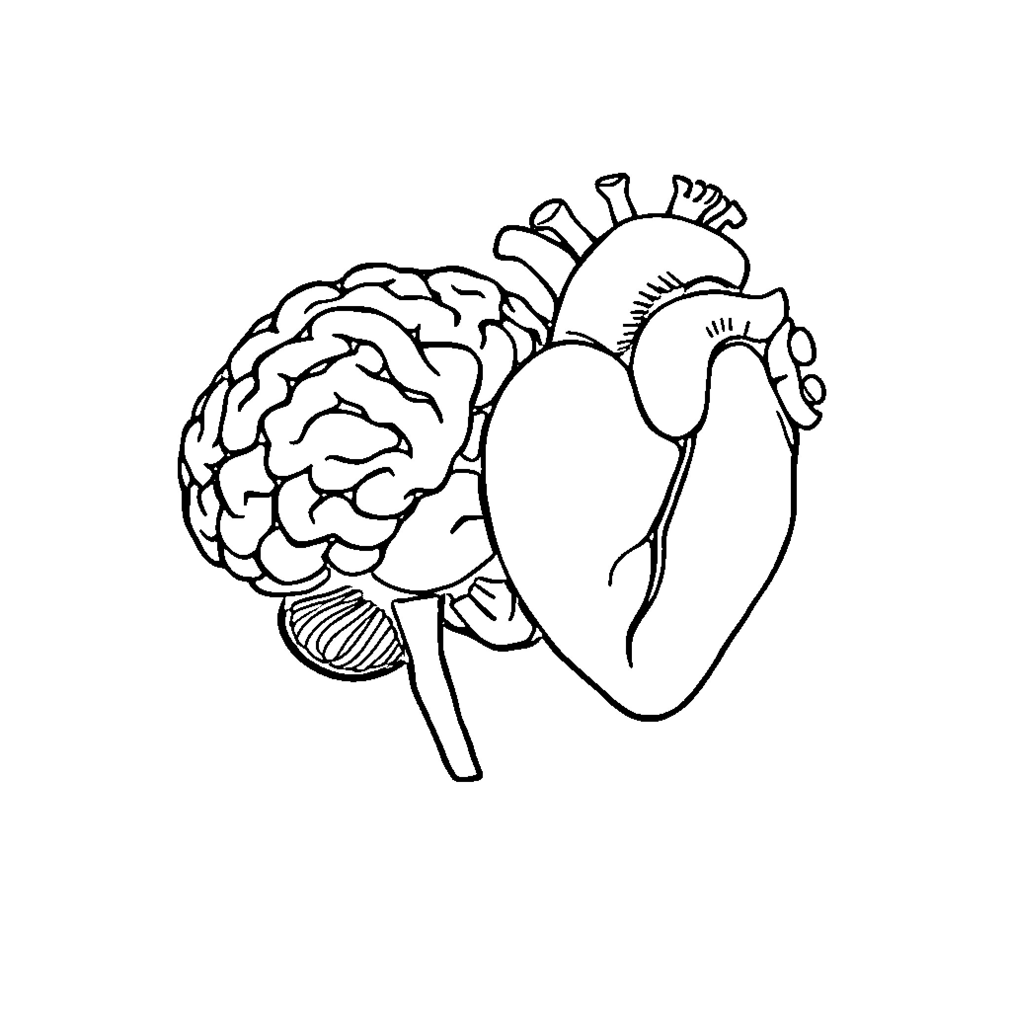Brain and Heart - Anatomical Illustration Coloring Page (free black-and-white line drawing printable PDF for all, from beginners to advanced learners, including children, teens, adults, and seniors)