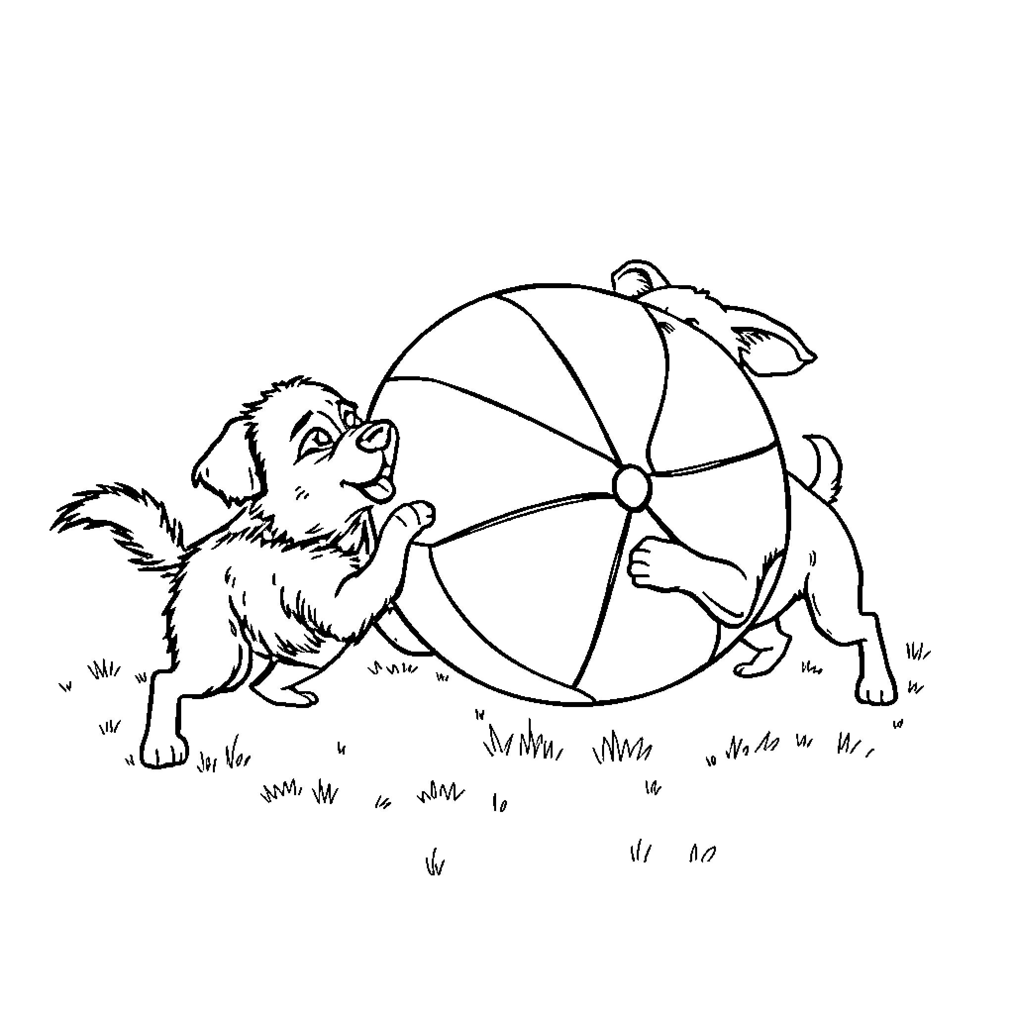 Dog playing with beach ball outdoors Coloring Page (free black-and-white line drawing printable PDF for all, from beginners to advanced learners, including children, teens, adults, and seniors)