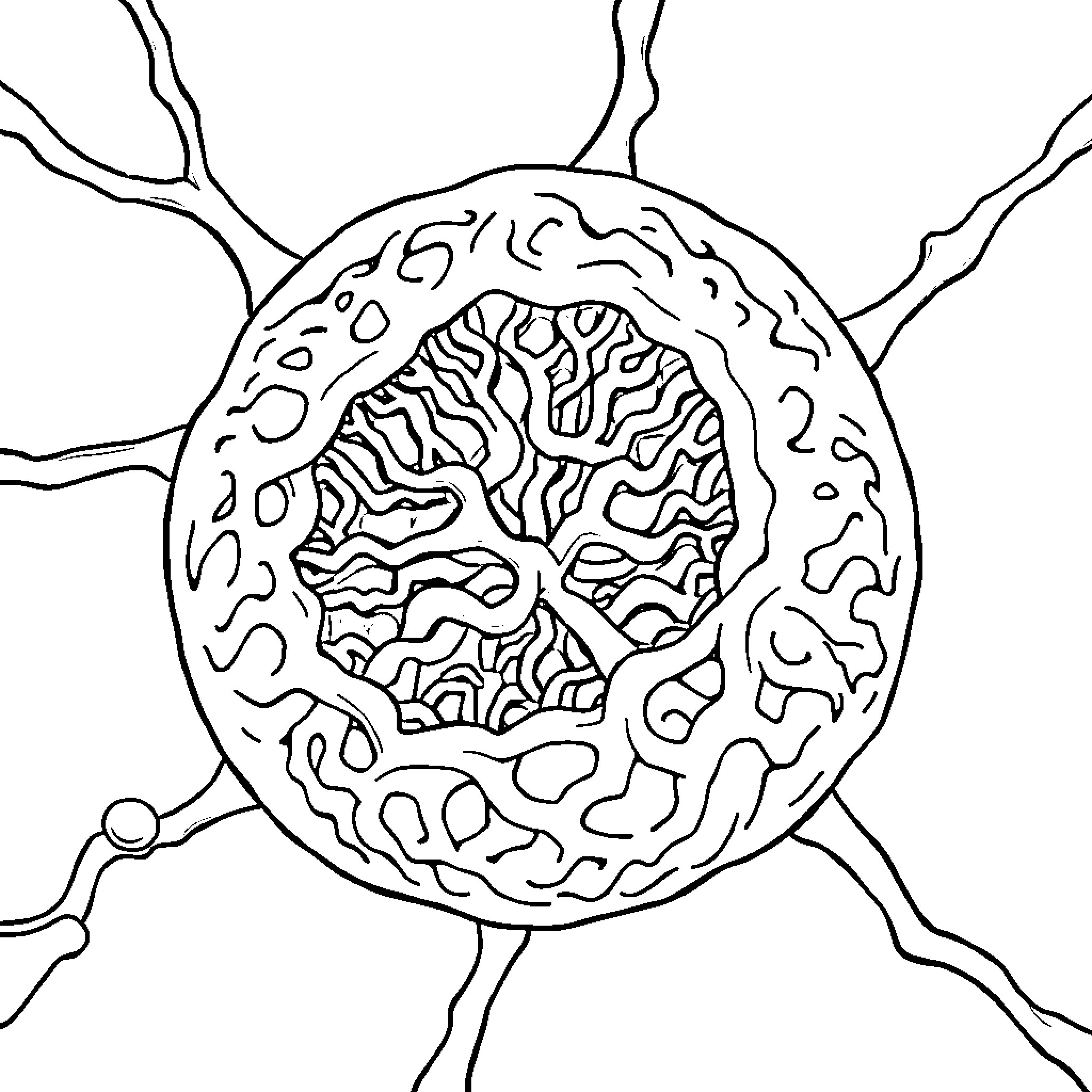 Endoplasmic Reticulum with Intricate Patterns Coloring Page (free black-and-white line drawing printable PDF for all, from beginners to advanced learners, including children, teens, adults, and seniors)