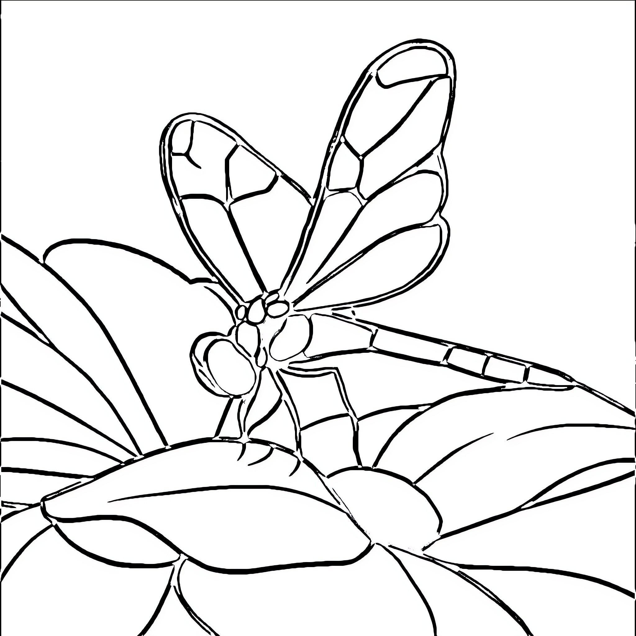 Dragonfly resting on a leaf Coloring Page (free black-and-white line drawing printable PDF for all, from beginners to advanced learners, including children, teens, adults, and seniors)