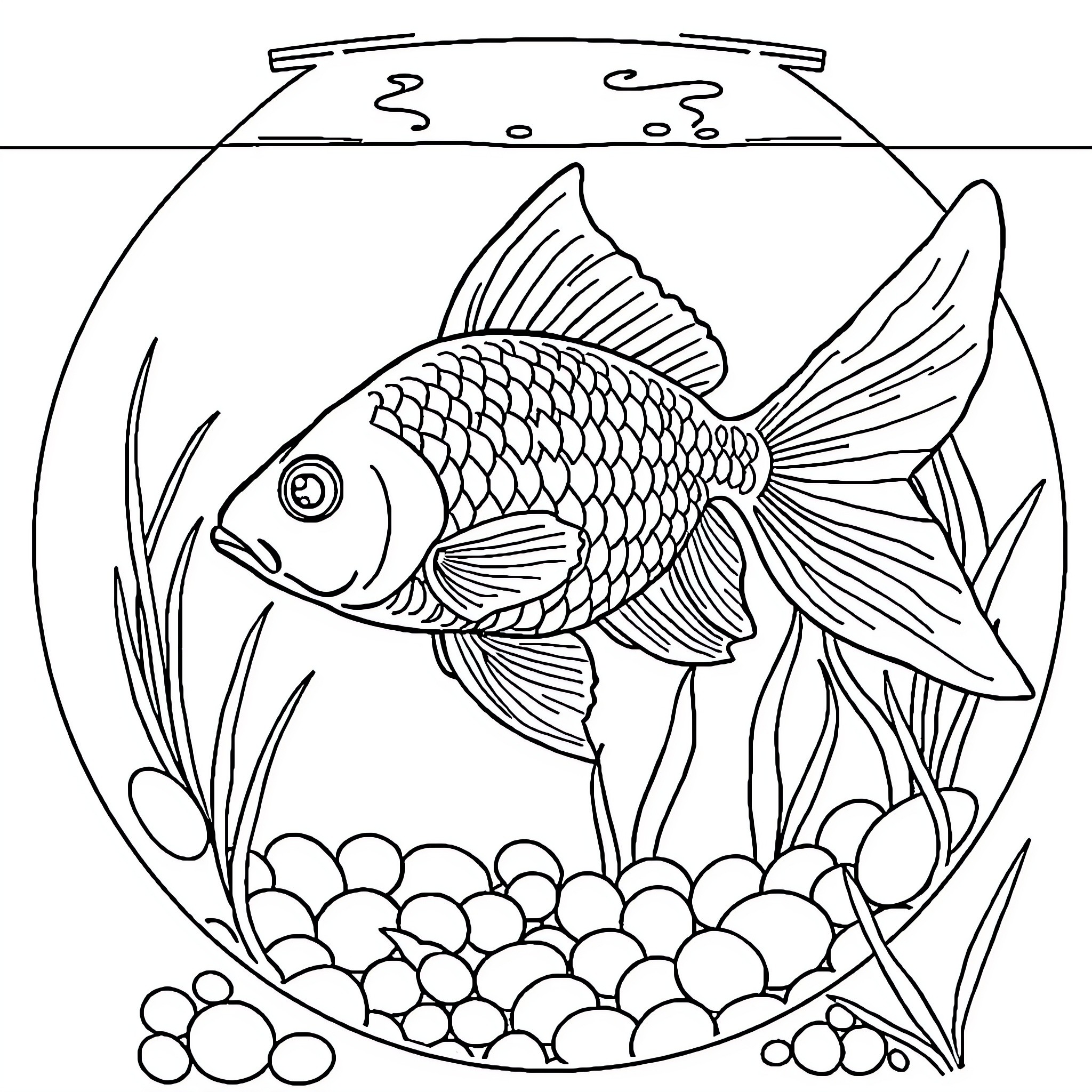 Goldfish swimming gracefully in an aquarium Coloring Page (free black-and-white line drawing printable PDF for all, from beginners to advanced learners, including children, teens, adults, and seniors)