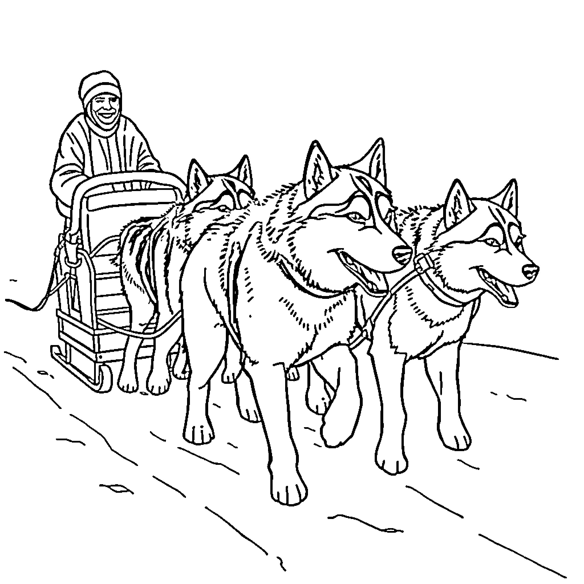 Husky sled dogs pulling sled with musher Coloring Page (free black-and-white line drawing printable PDF for all, from beginners to advanced learners, including children, teens, adults, and seniors)