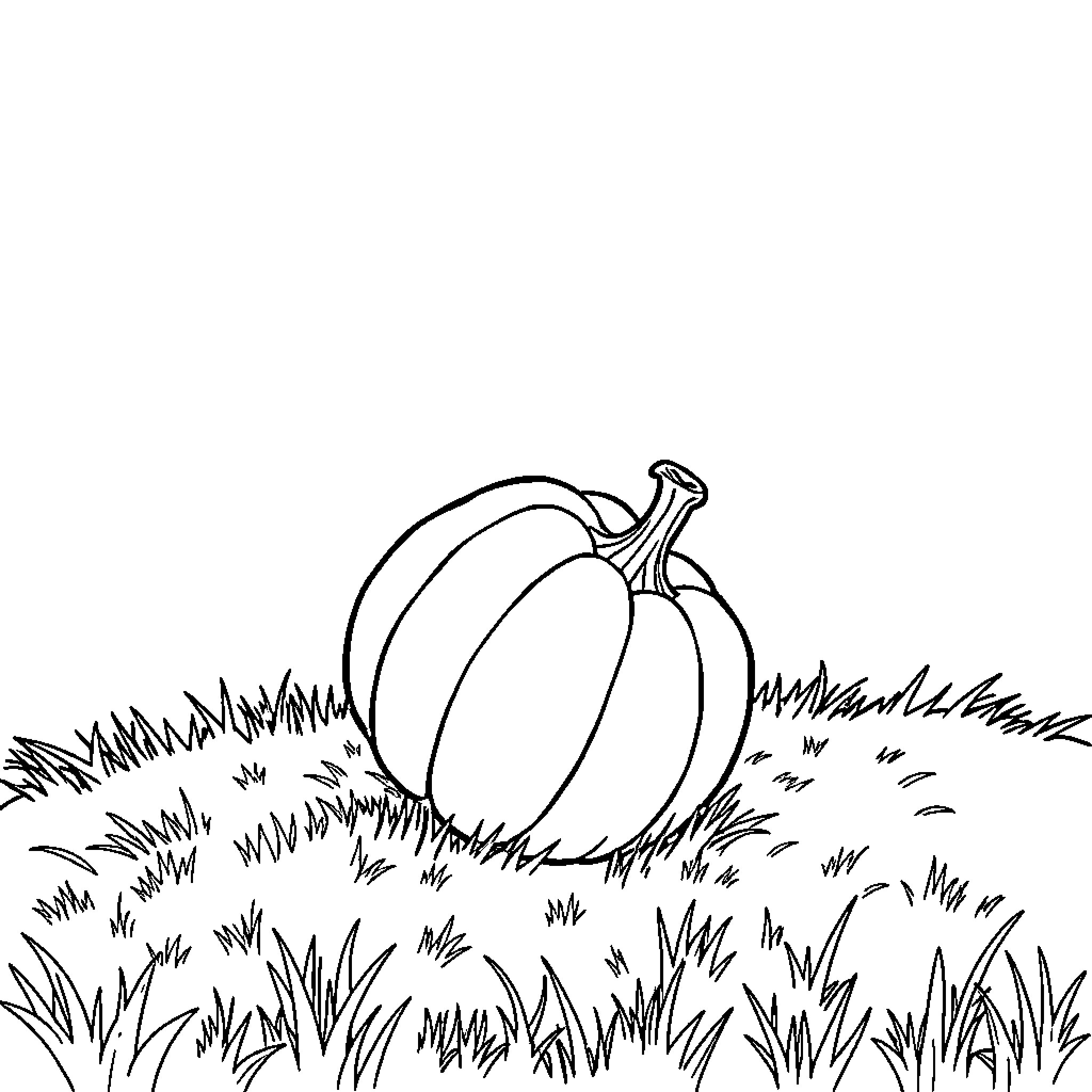 Pumpkin resting in the grass Coloring Page (free black-and-white line drawing printable PDF for all, from beginners to advanced learners, including children, teens, adults, and seniors)