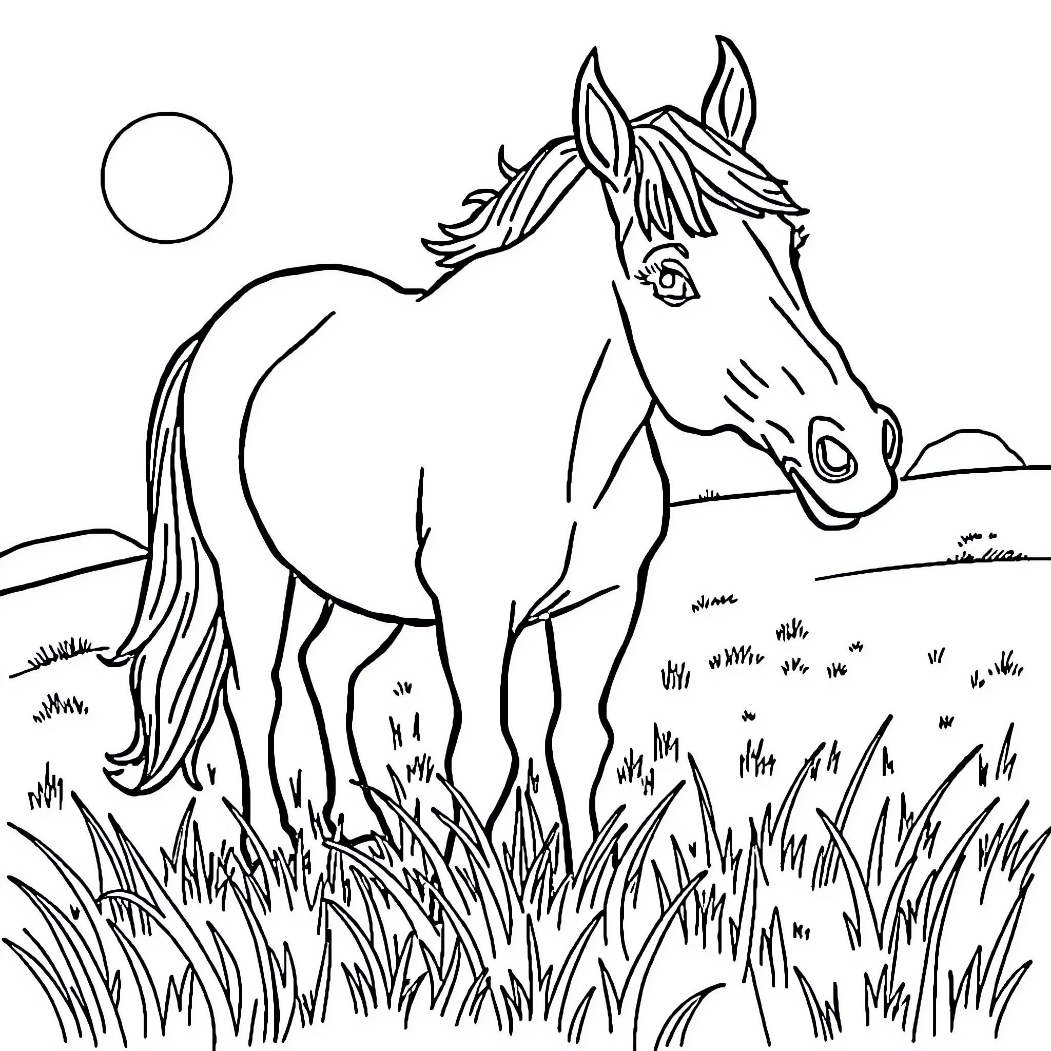 Horse standing proudly in the field Coloring Page (free black-and-white line drawing printable PDF for all, from beginners to advanced learners, including children, teens, adults, and seniors)