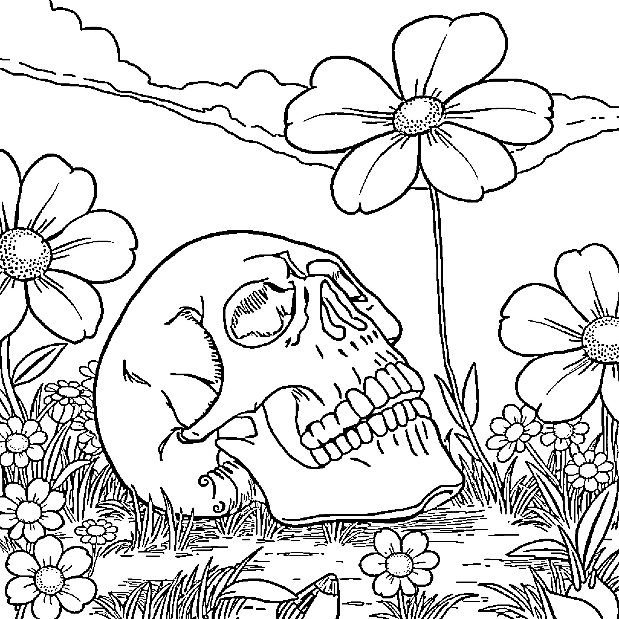 Skull amidst a floral landscape Coloring Page (free black-and-white line drawing printable PDF for all, from beginners to advanced learners, including children, teens, adults, and seniors)