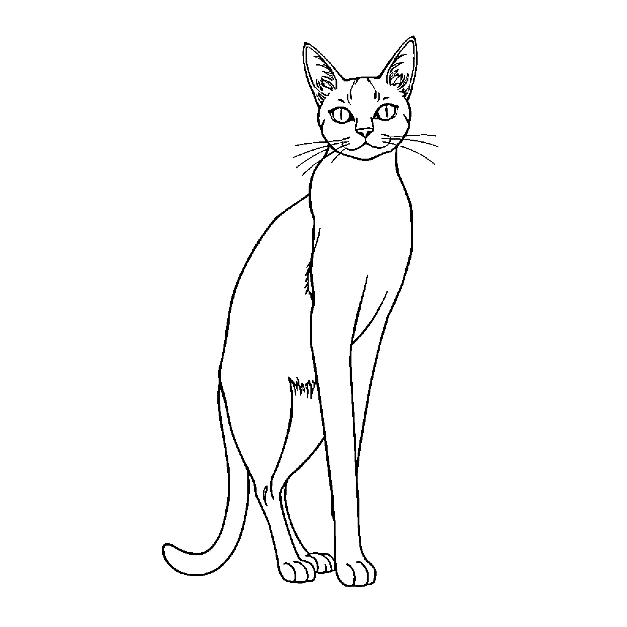 Cat standing alert and attentive Coloring Page (free black-and-white line drawing printable PDF for all, from beginners to advanced learners, including children, teens, adults, and seniors)